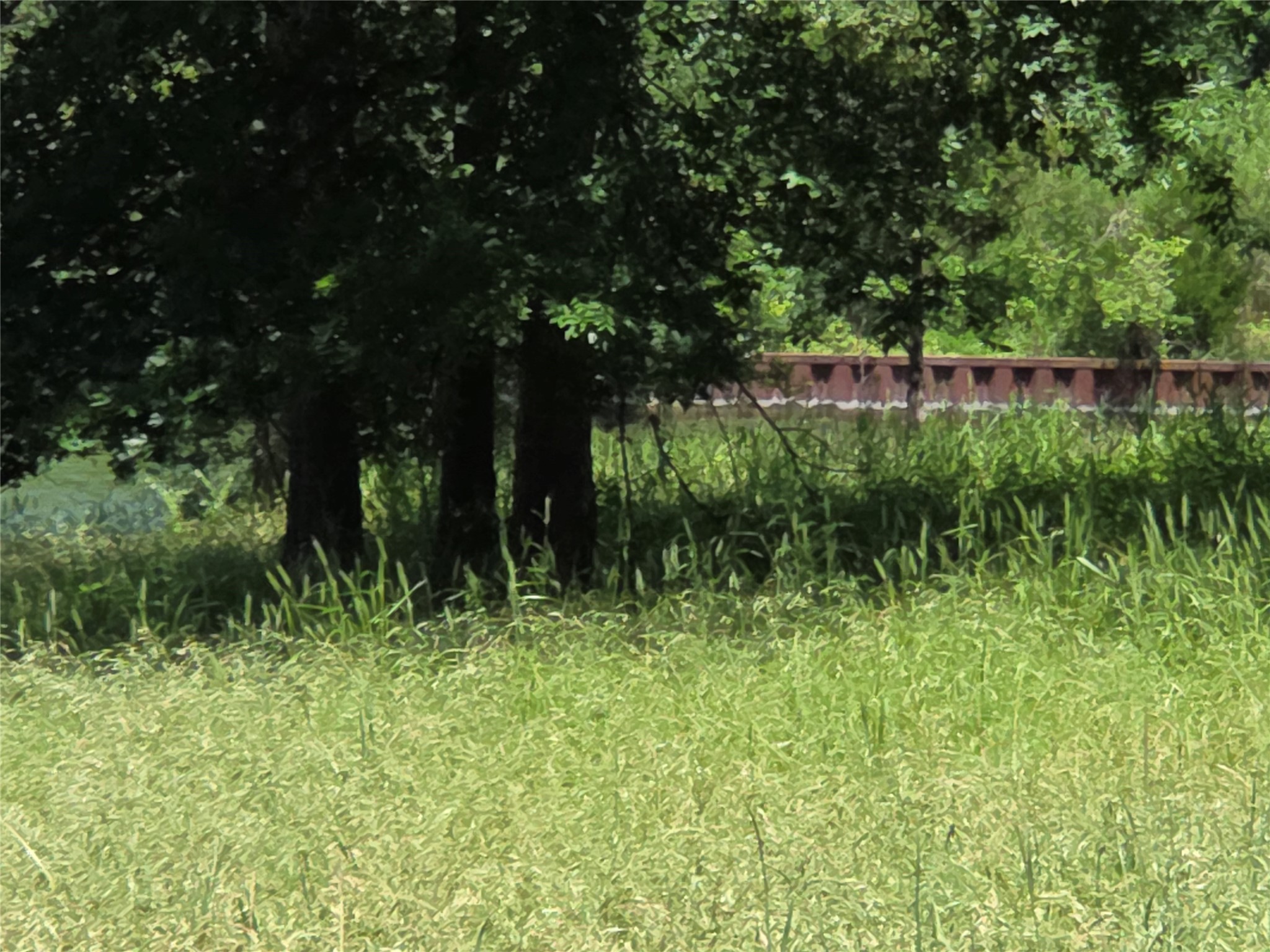 Lot 15R SE County Rd 2359b