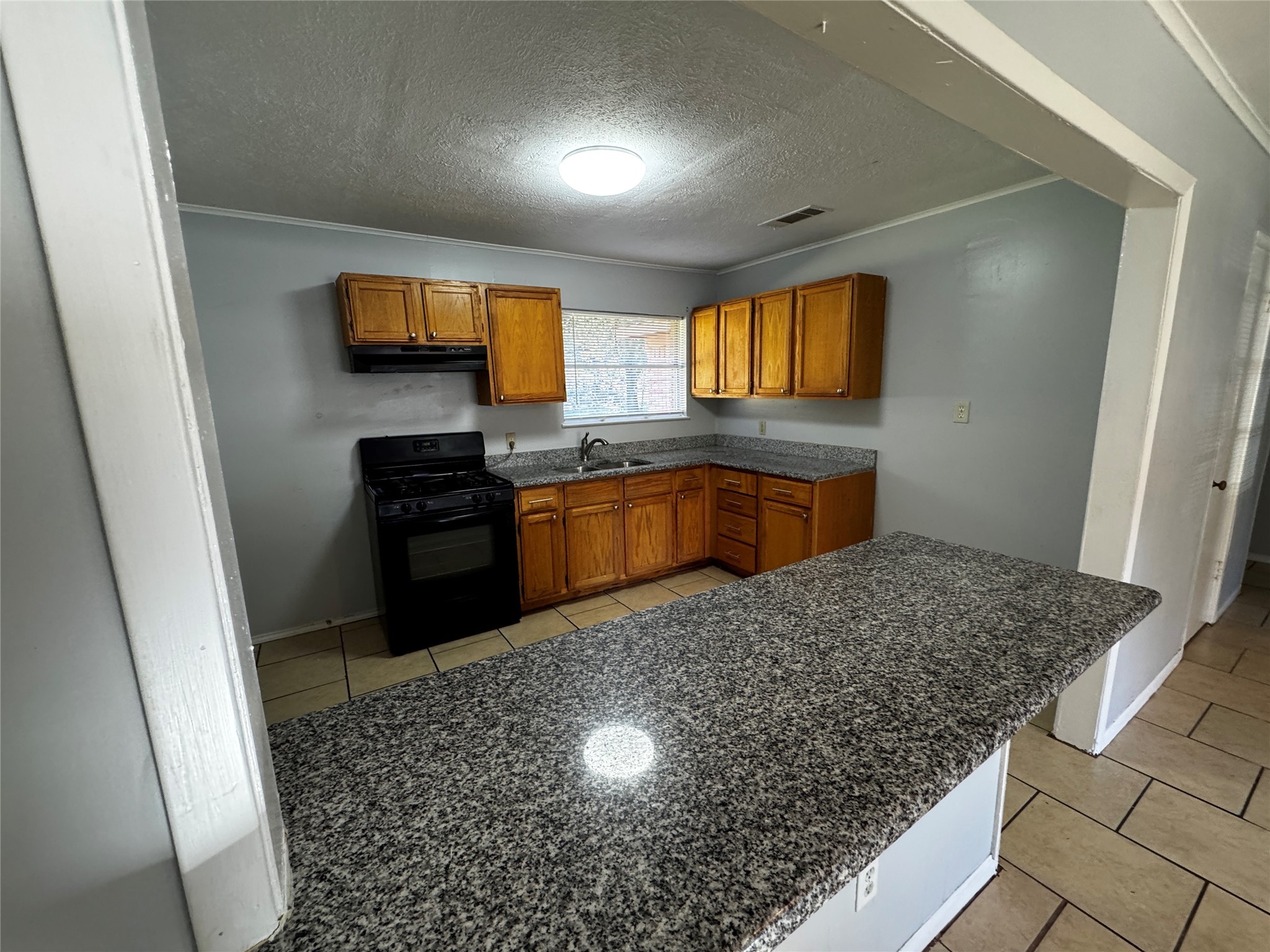 1309 Ann Arbor Drive