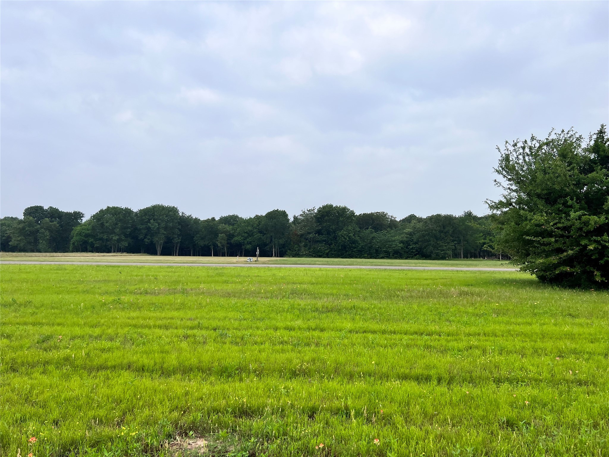 Lot 392 Polaris Drive