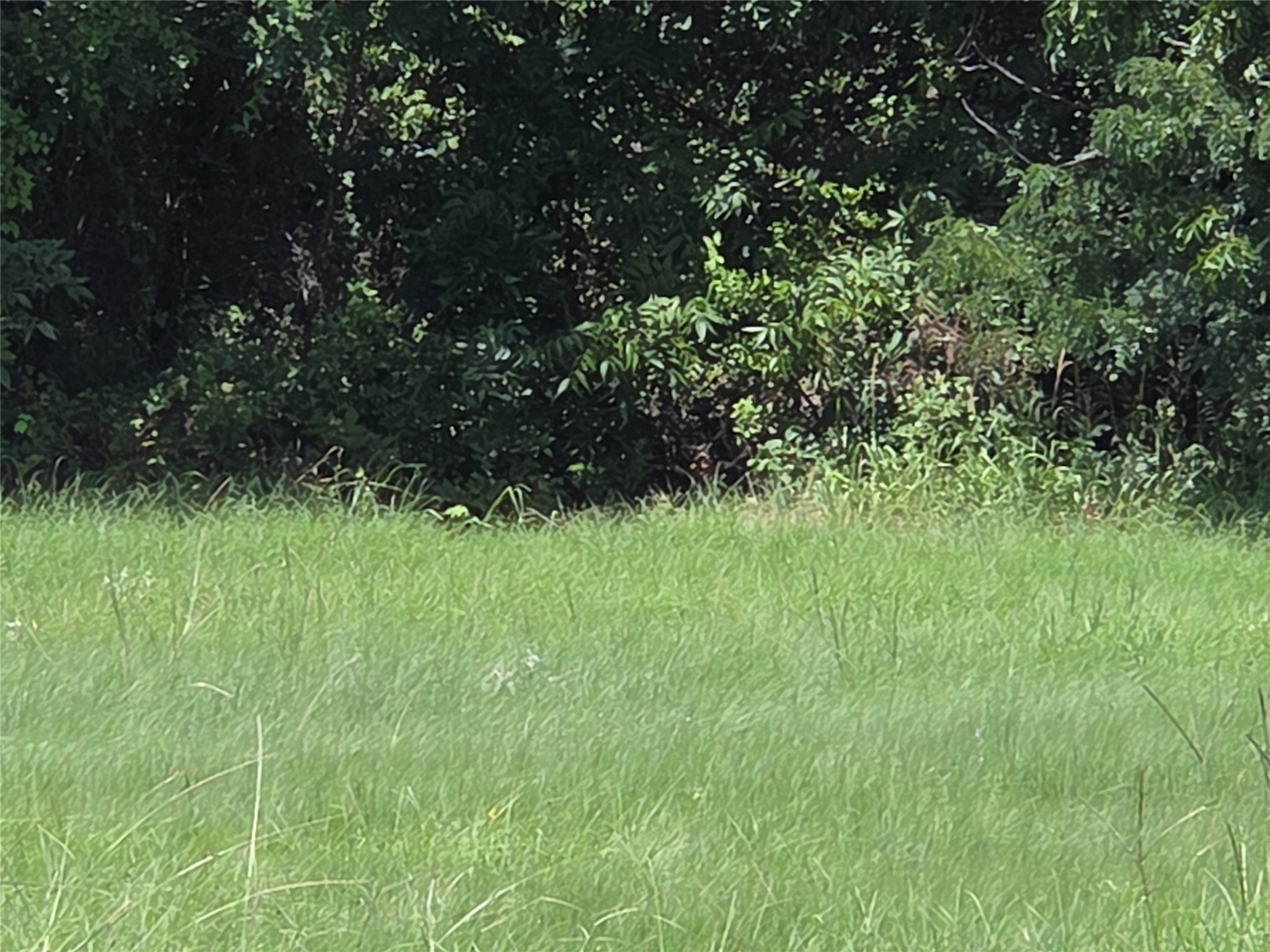 Lot 26 Clubhouse Drive