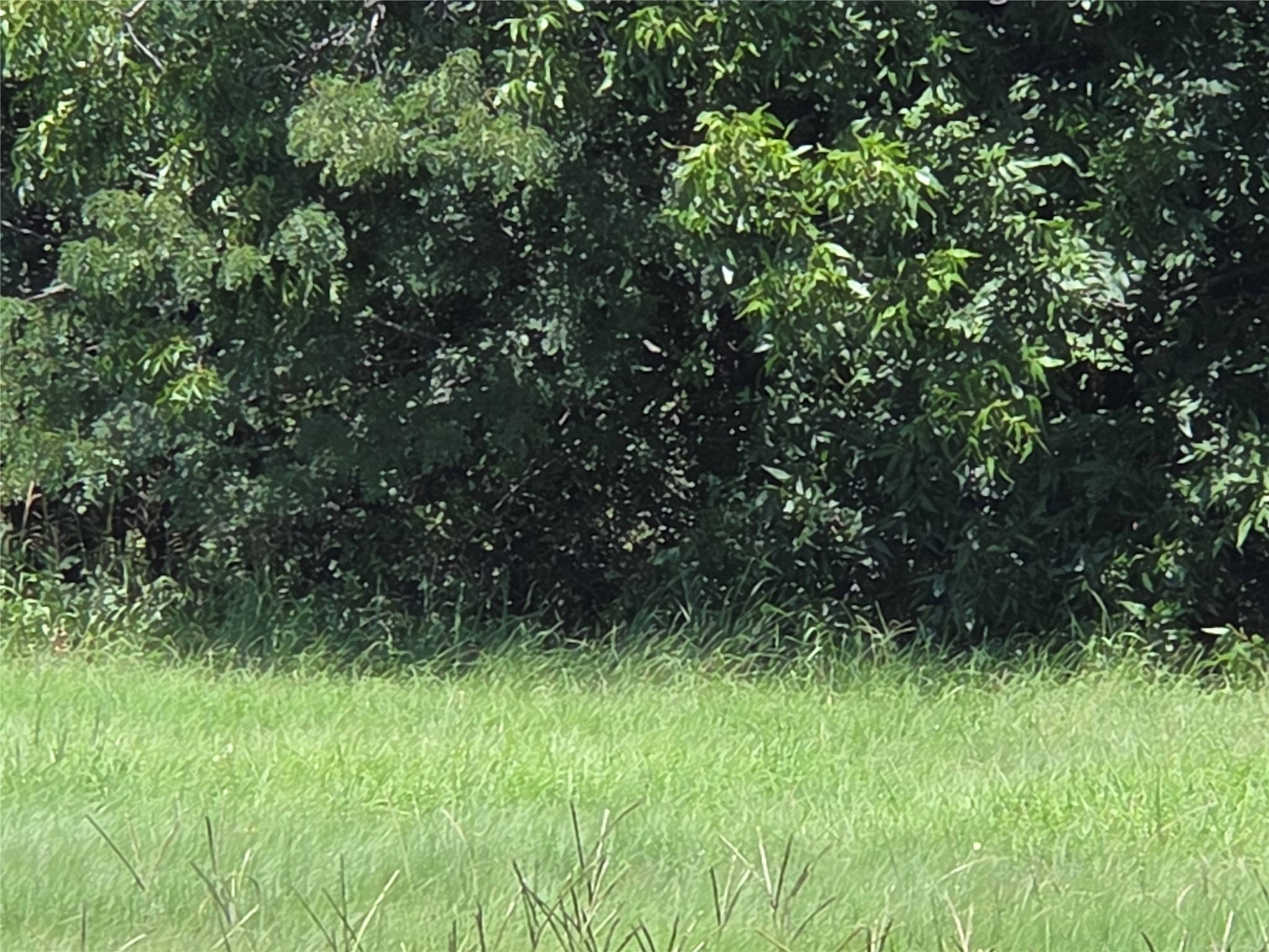 Lot 26 Clubhouse Drive