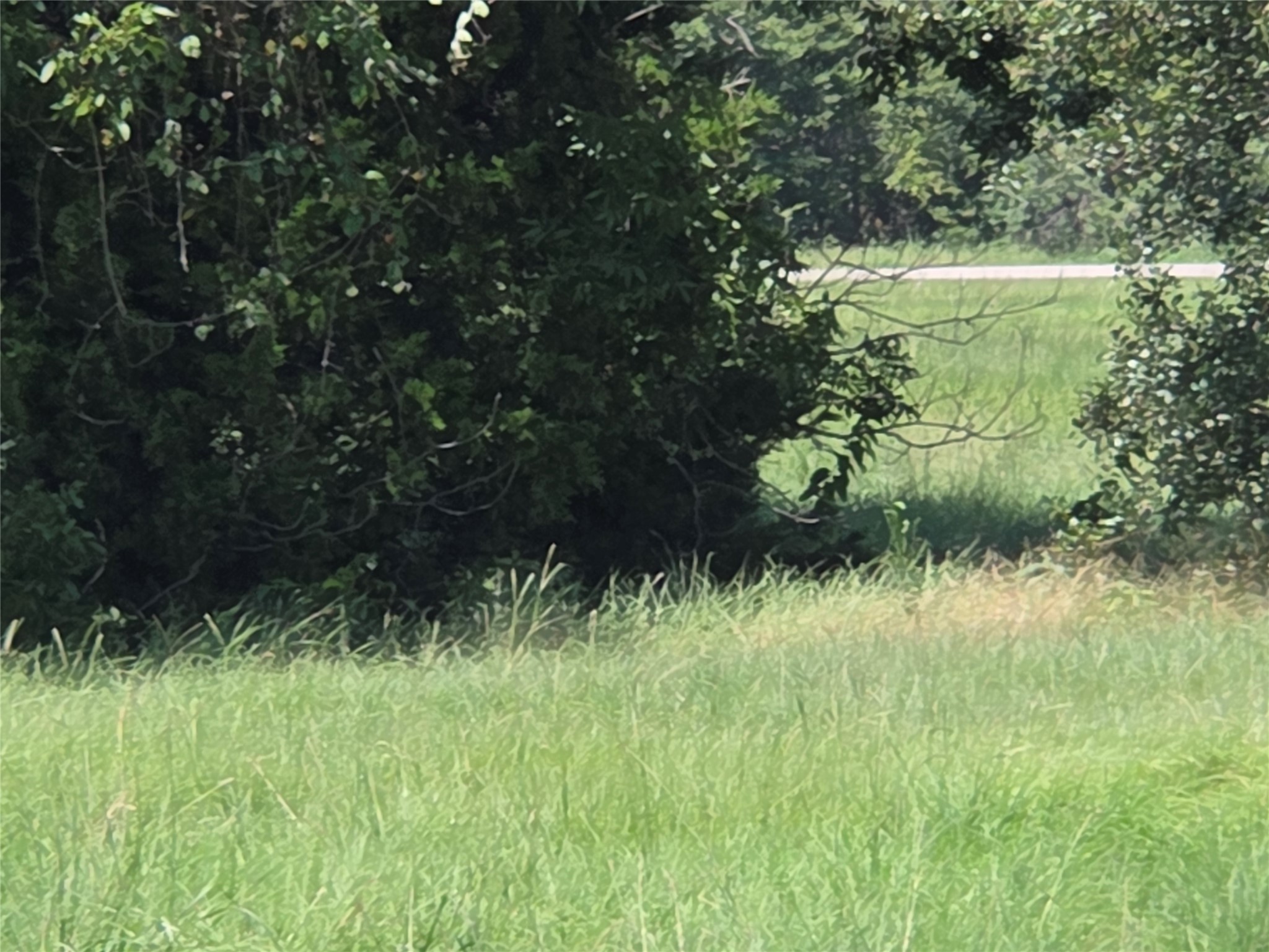 Lot 26 Clubhouse Drive