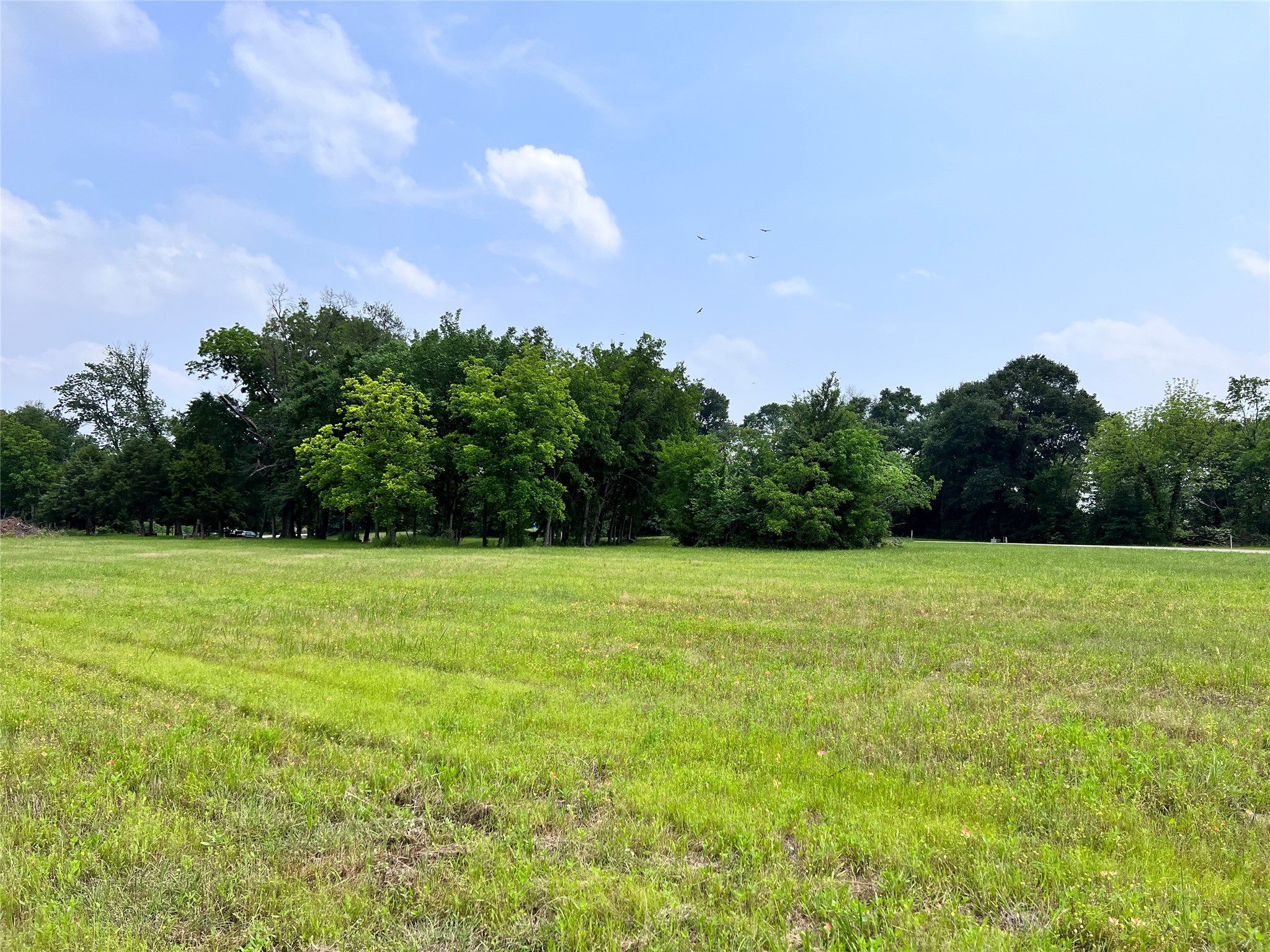 Lot 26 Clubhouse Drive