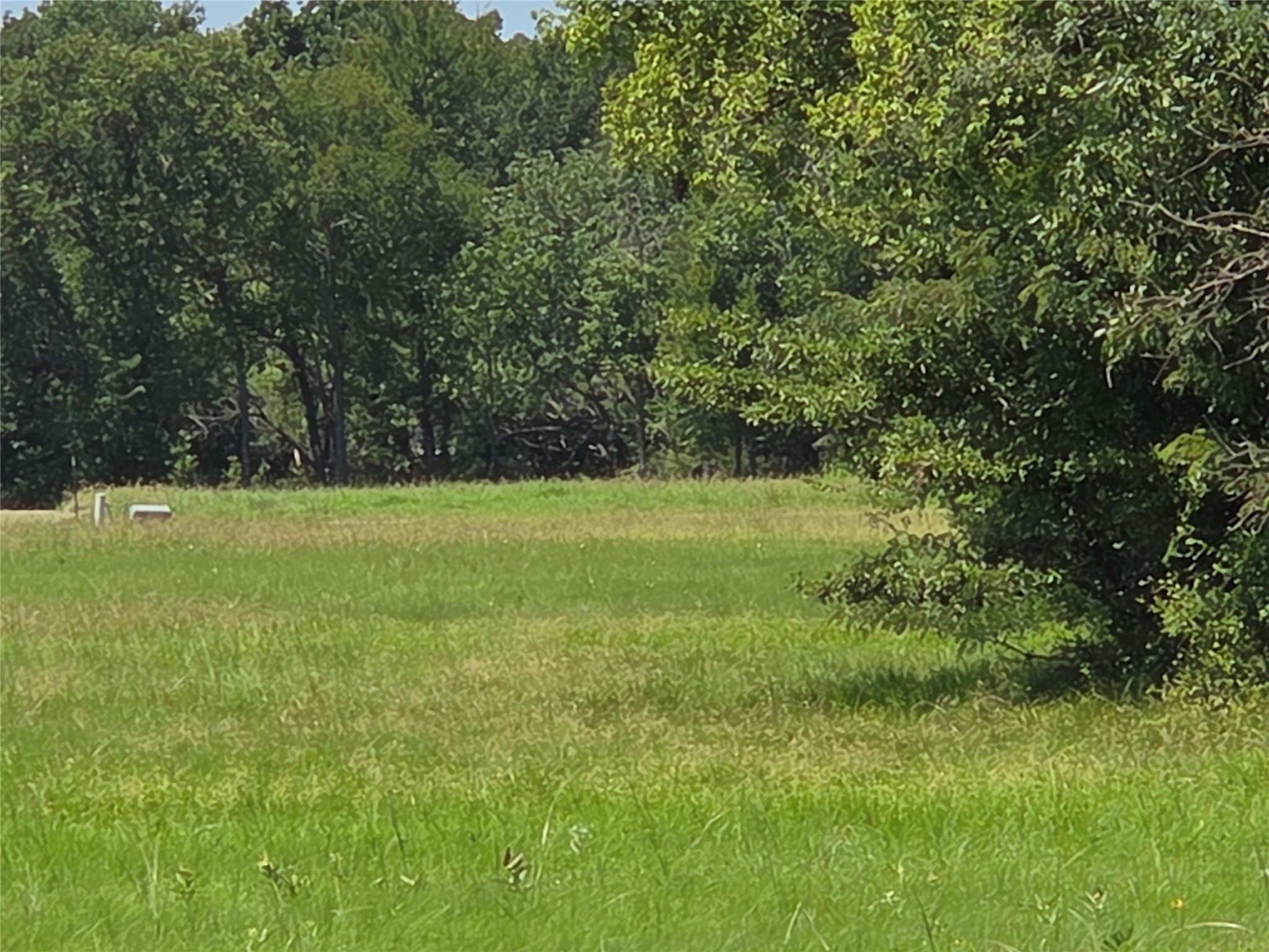 Lot 26 Clubhouse Drive