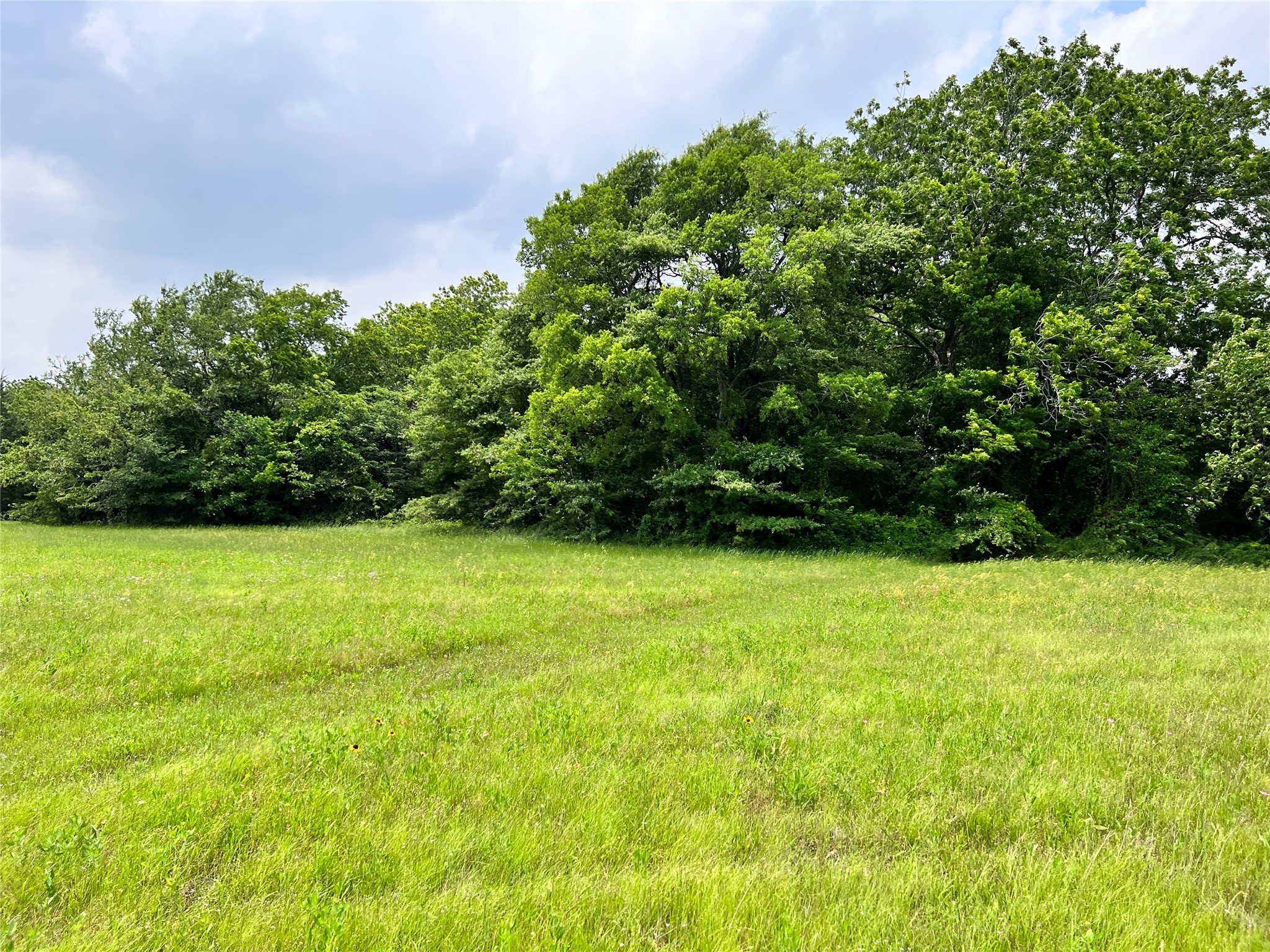 Lot 79 Clubhouse Drive