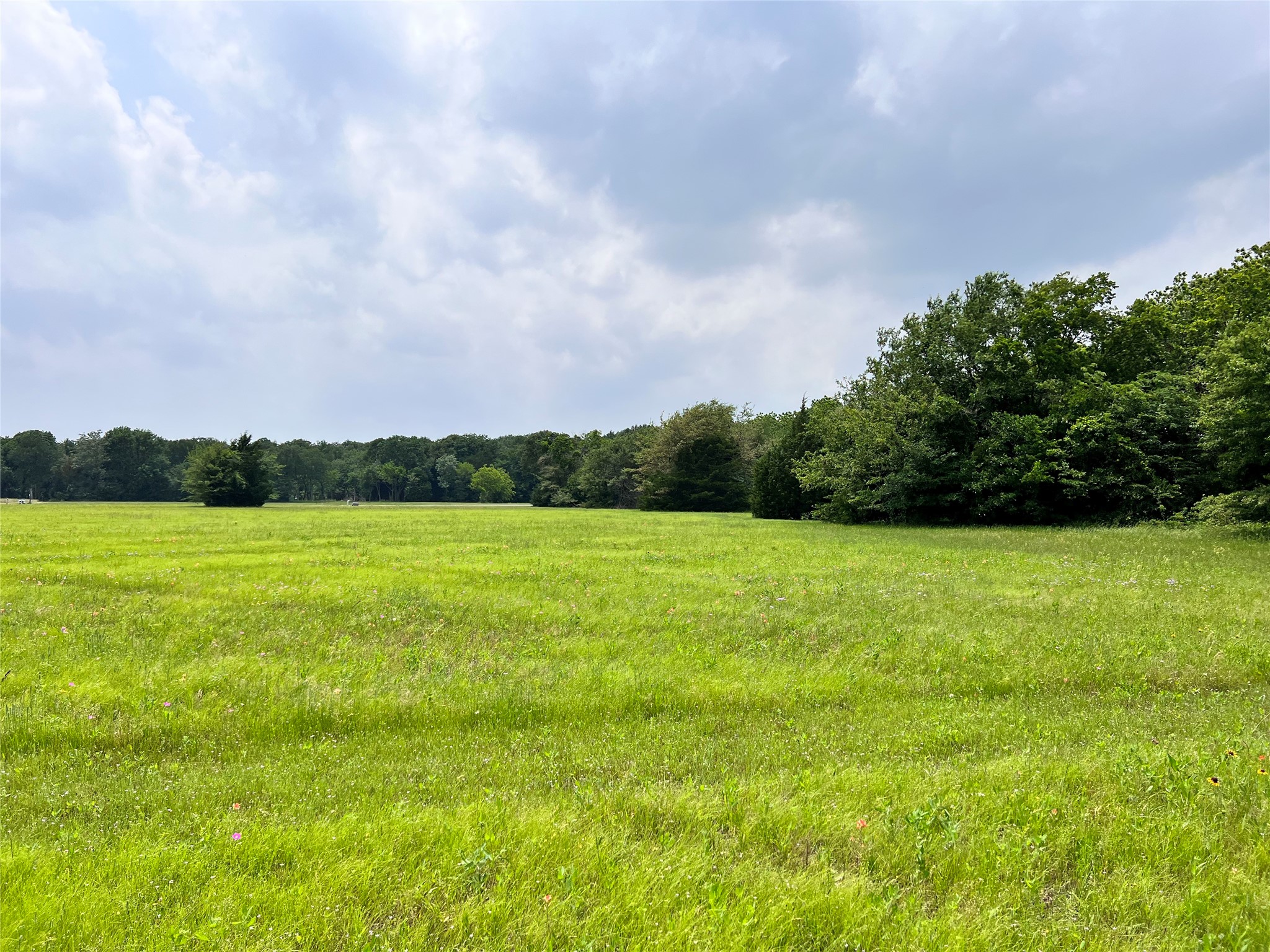 Lot 79 Clubhouse Drive
