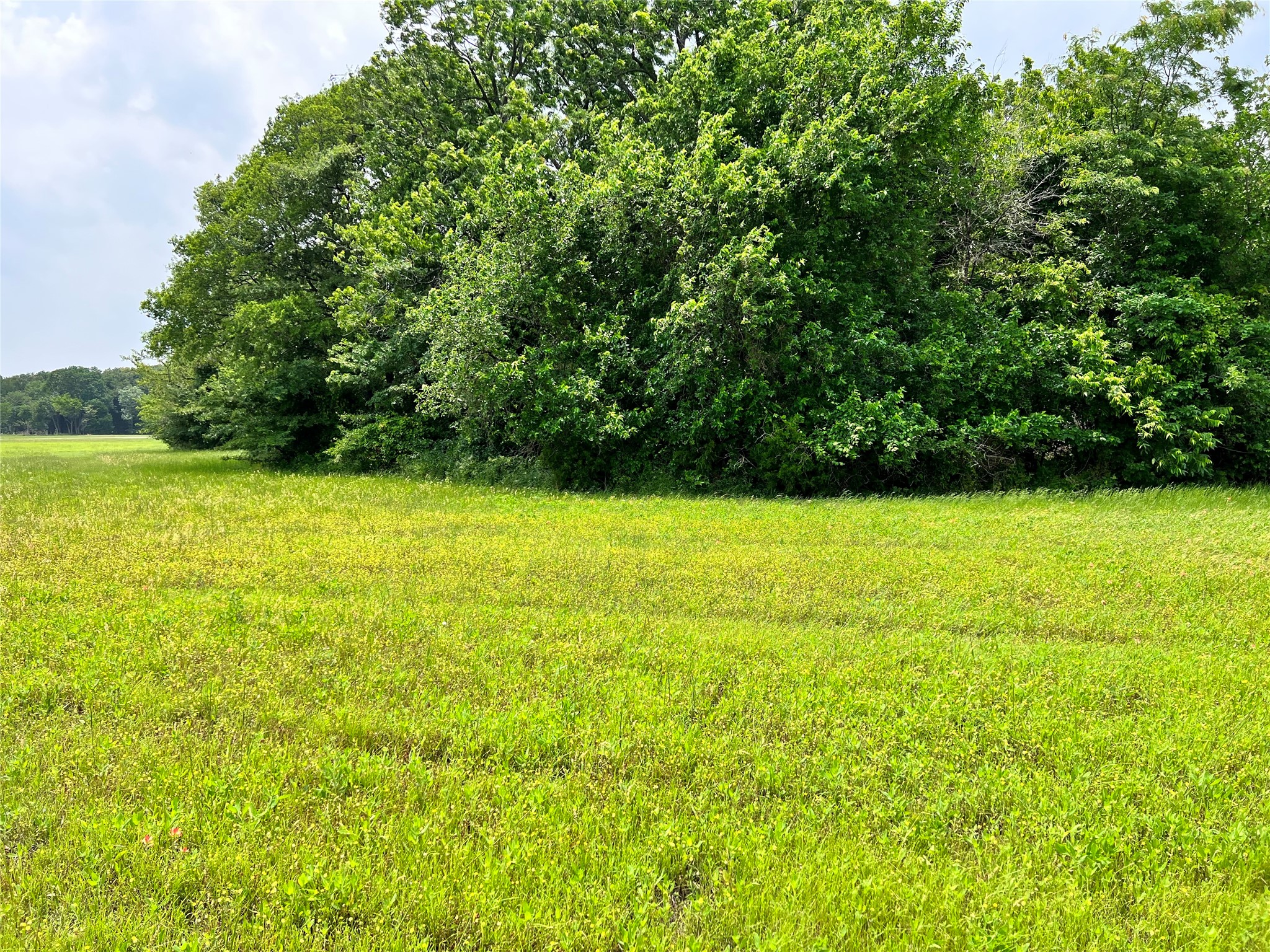 Lot 79 Clubhouse Drive