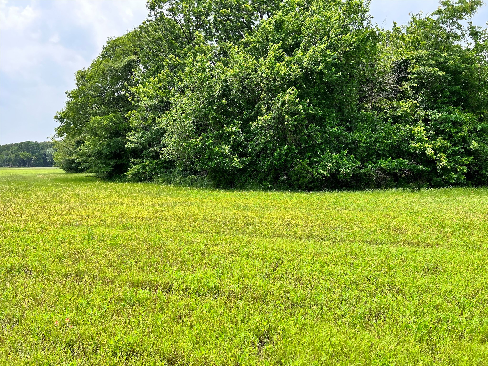 Lot 79 Clubhouse Drive