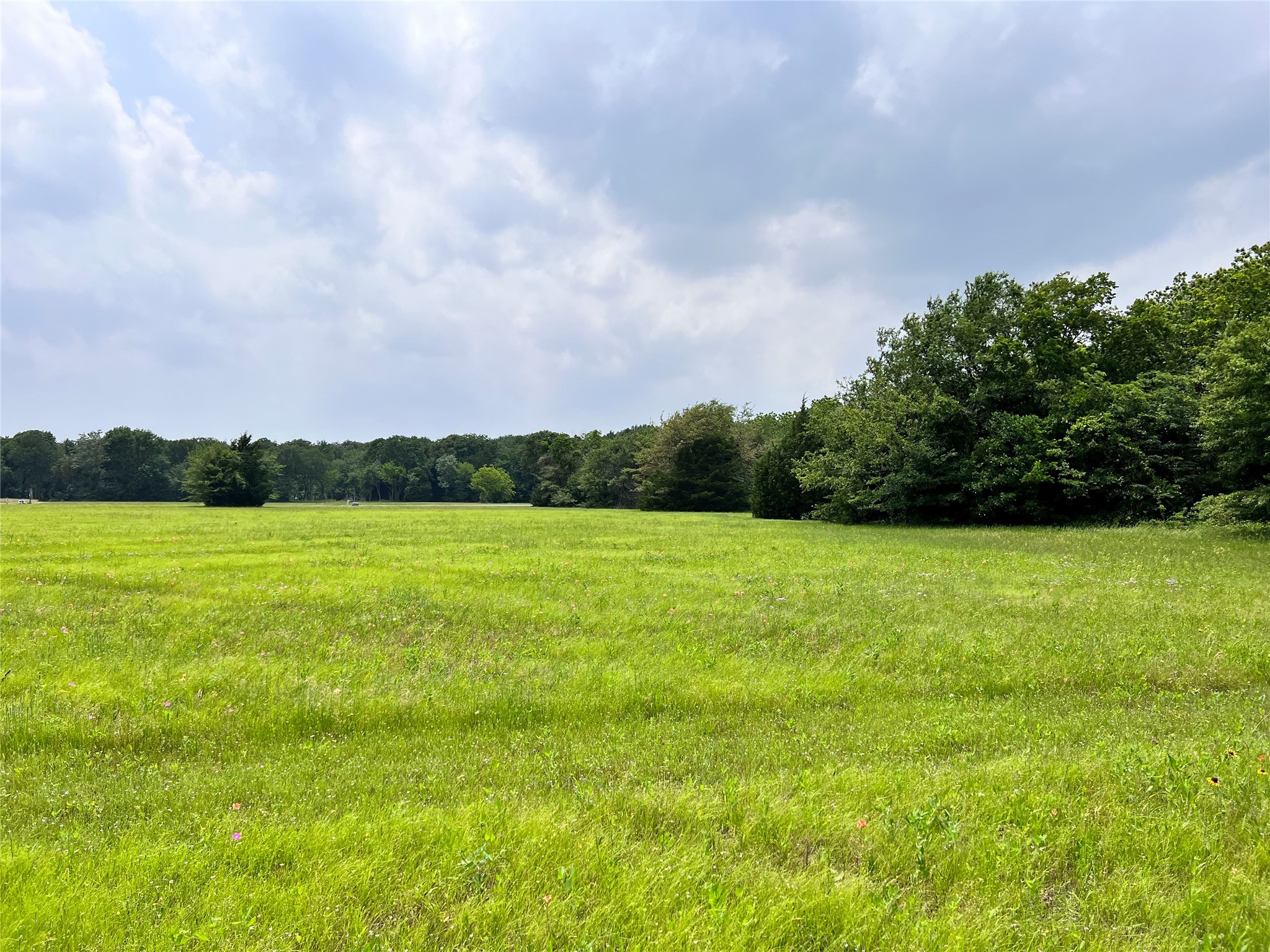 Lot 79 Clubhouse Drive