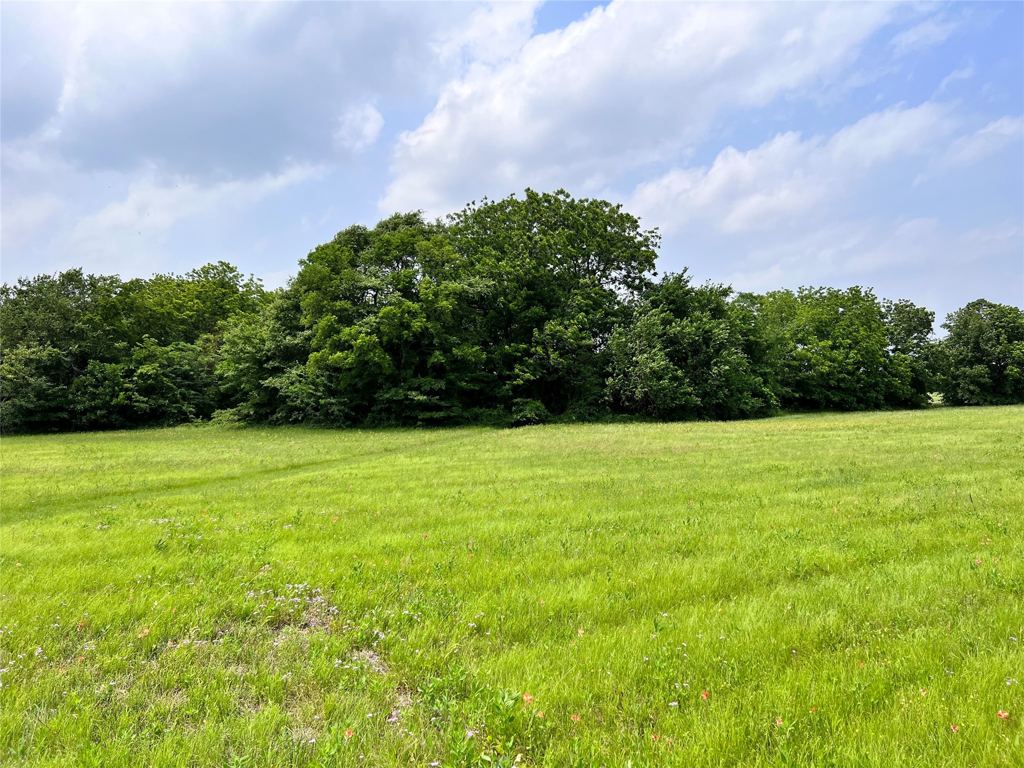 Lot 79 Clubhouse Drive