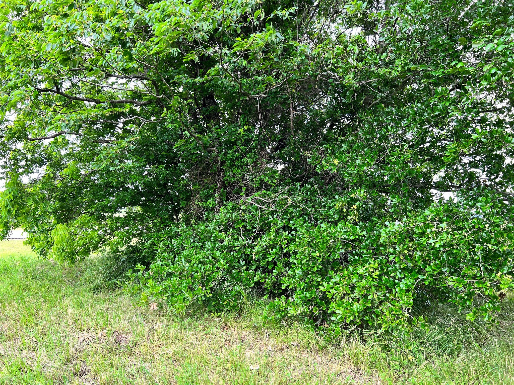 Lot 78 Clubhouse Drive