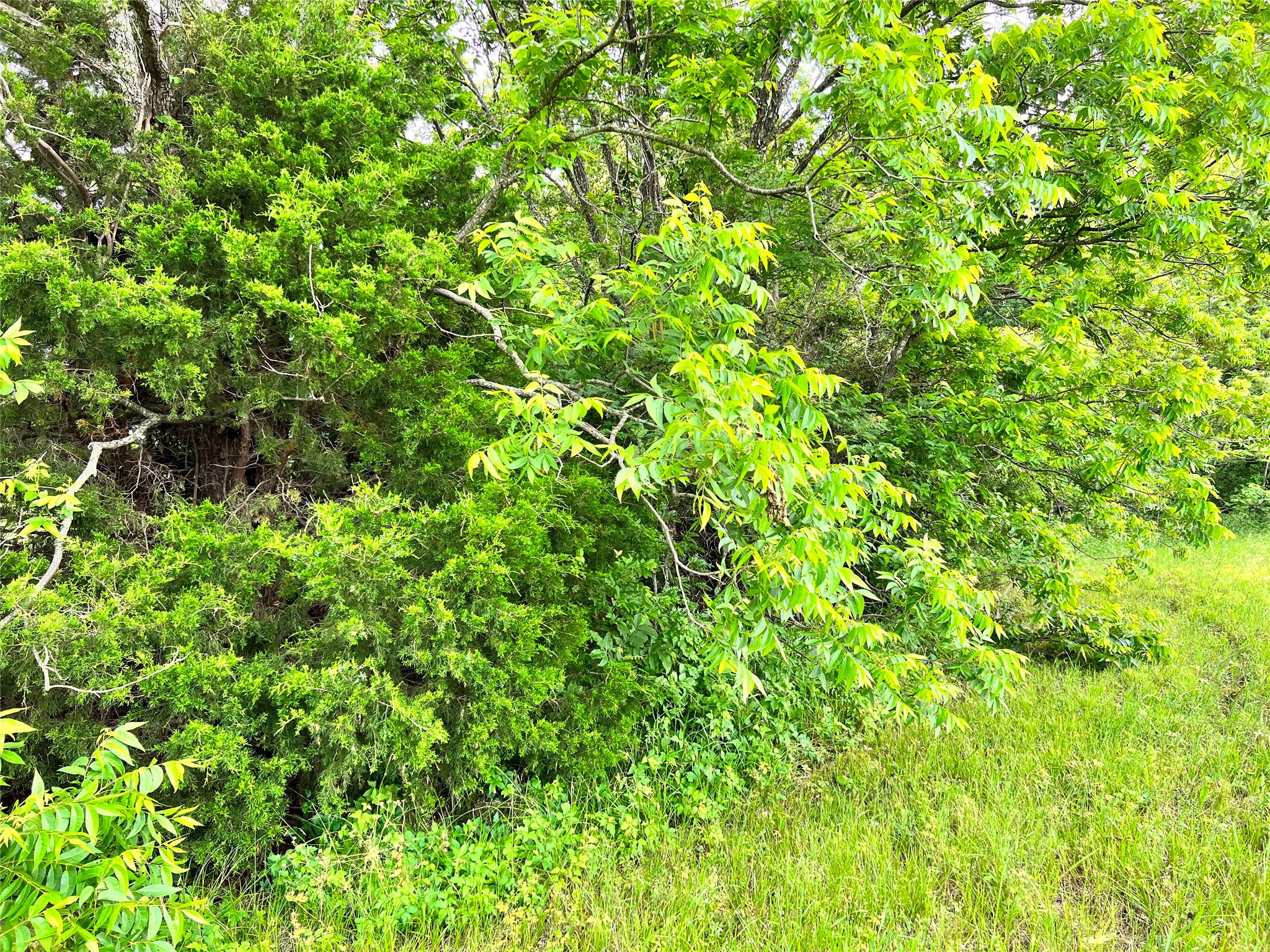 Lot 78 Clubhouse Drive