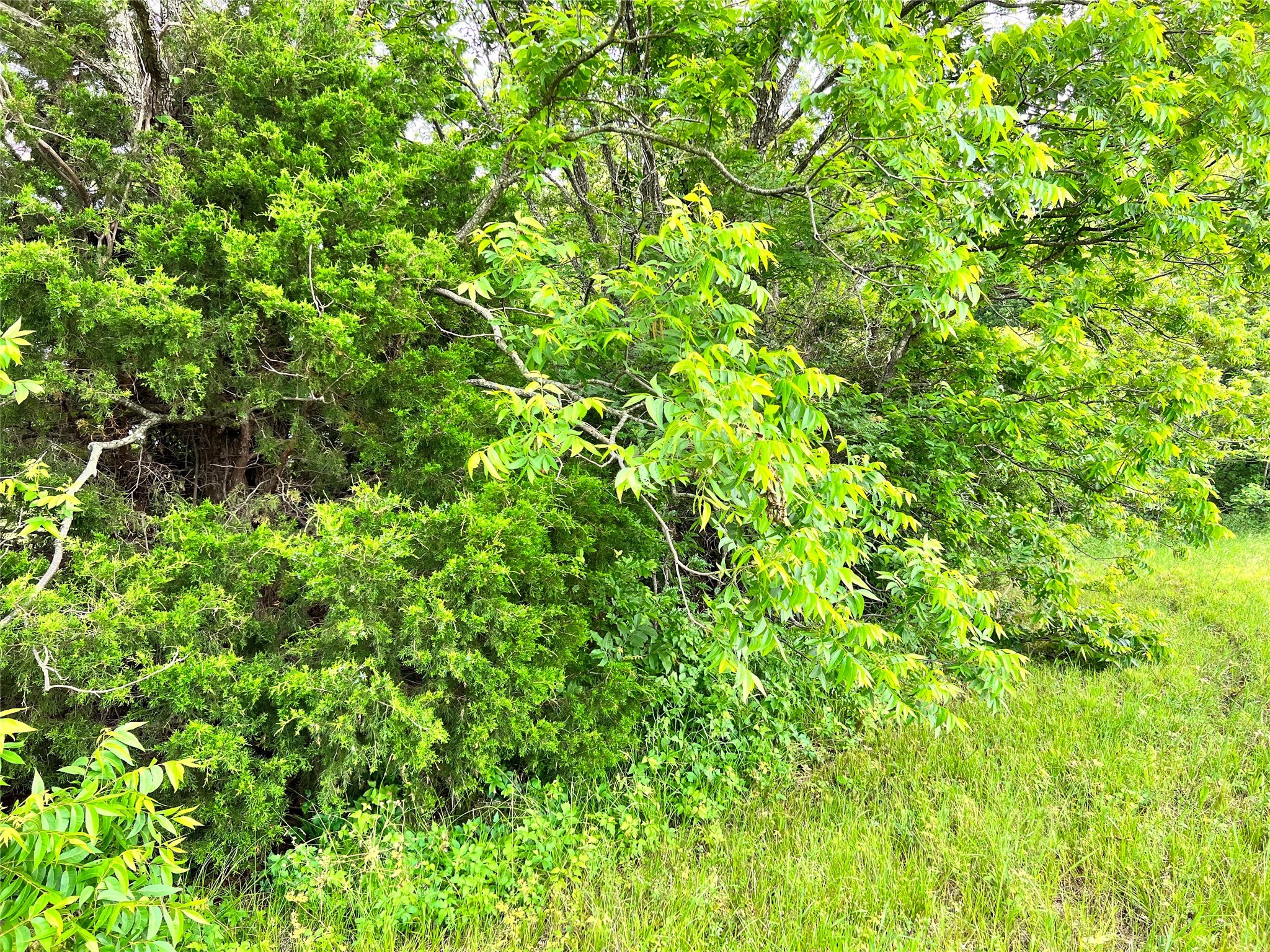 Lot 78 Clubhouse Drive