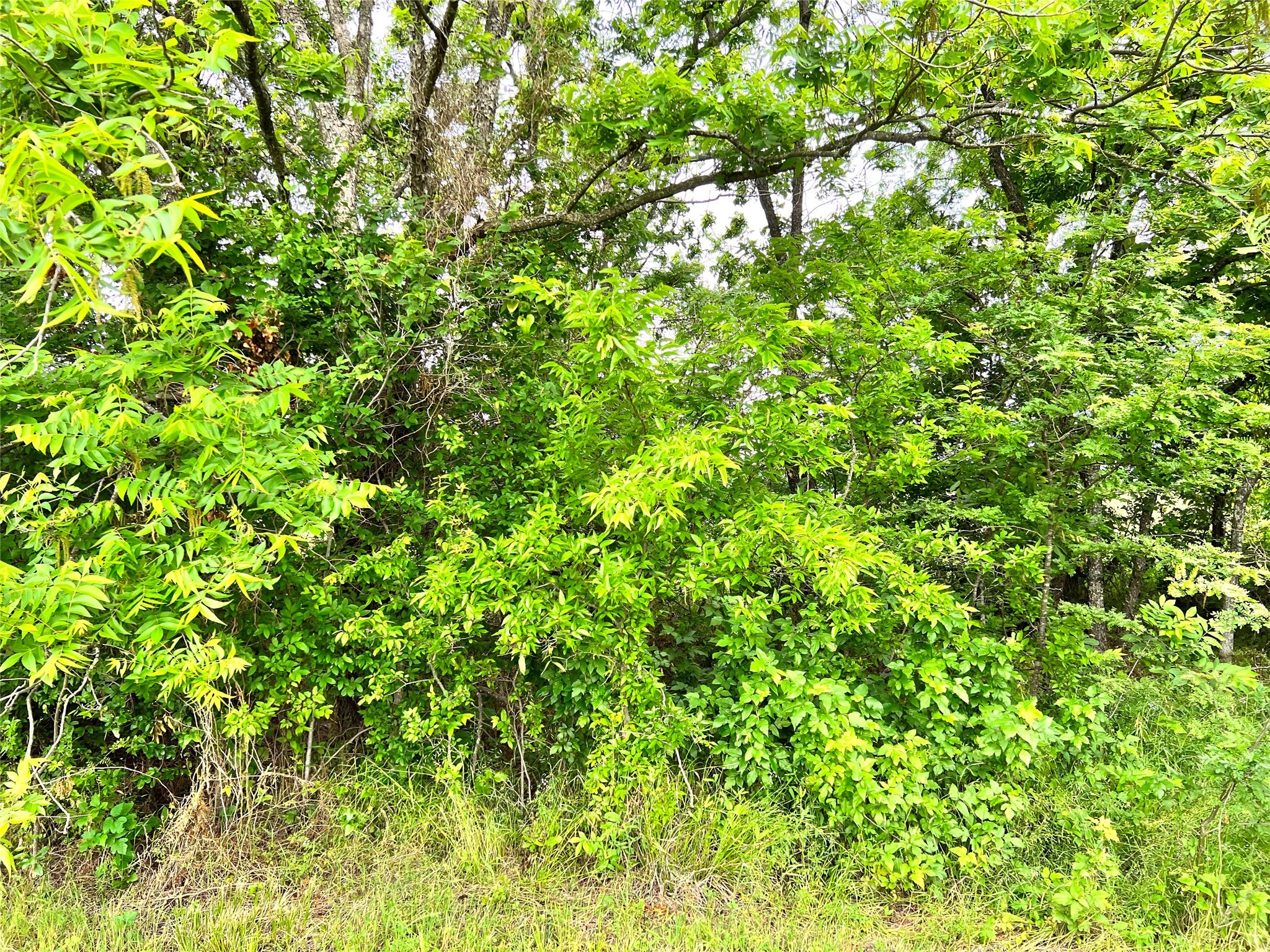 Lot 78 Clubhouse Drive