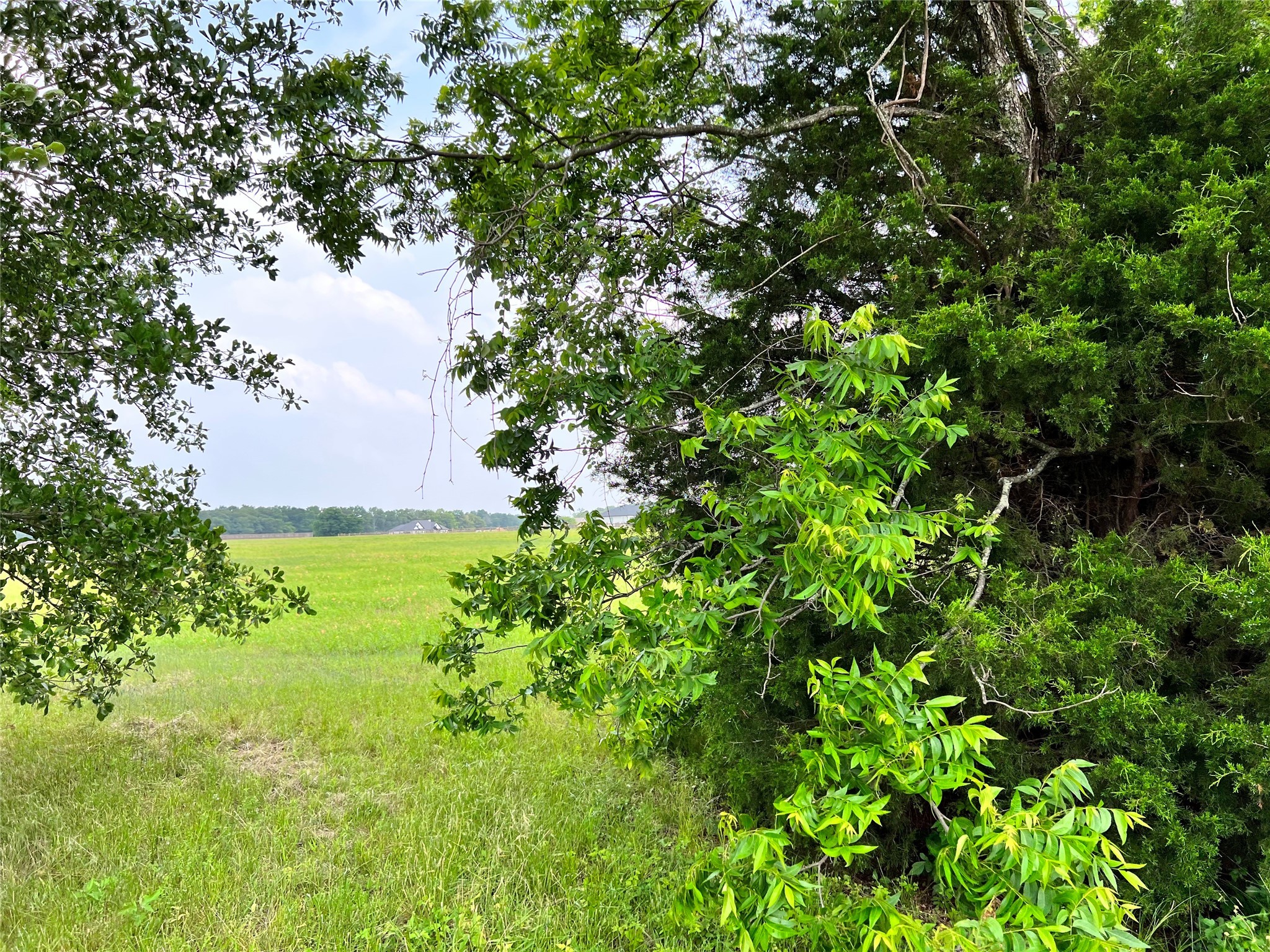 Lot 78 Clubhouse Drive