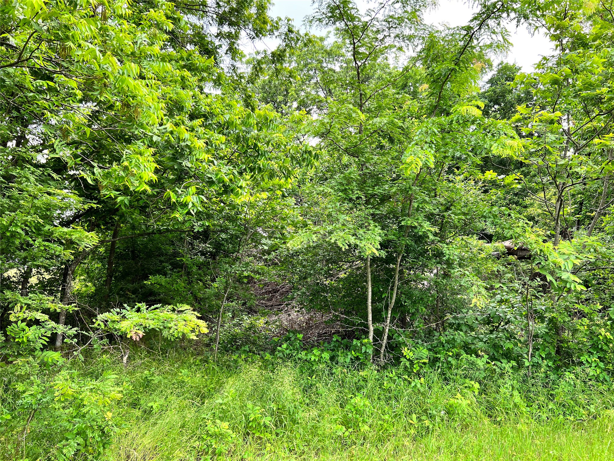 Lot 78 Clubhouse Drive