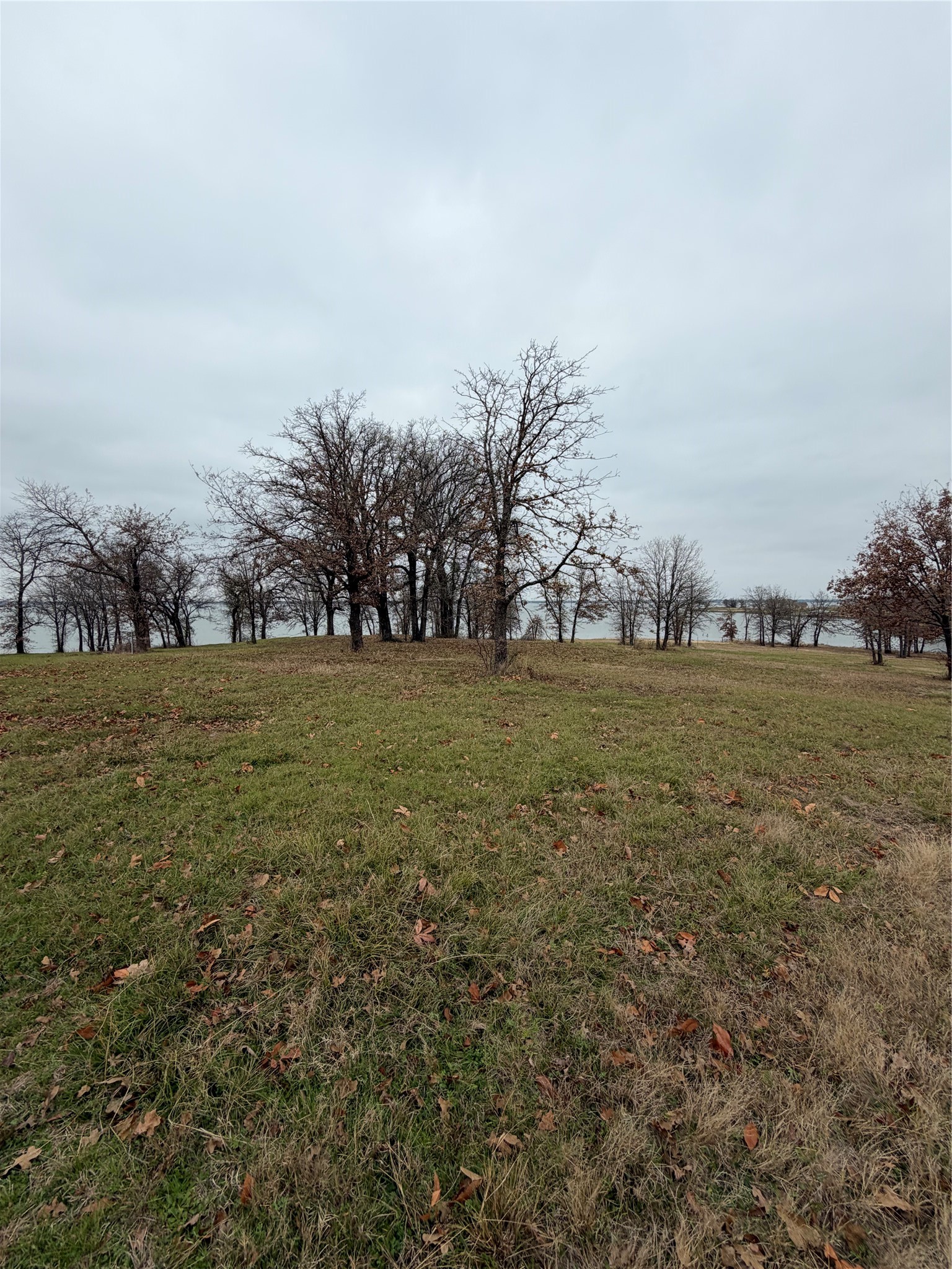 TBD Lot 55