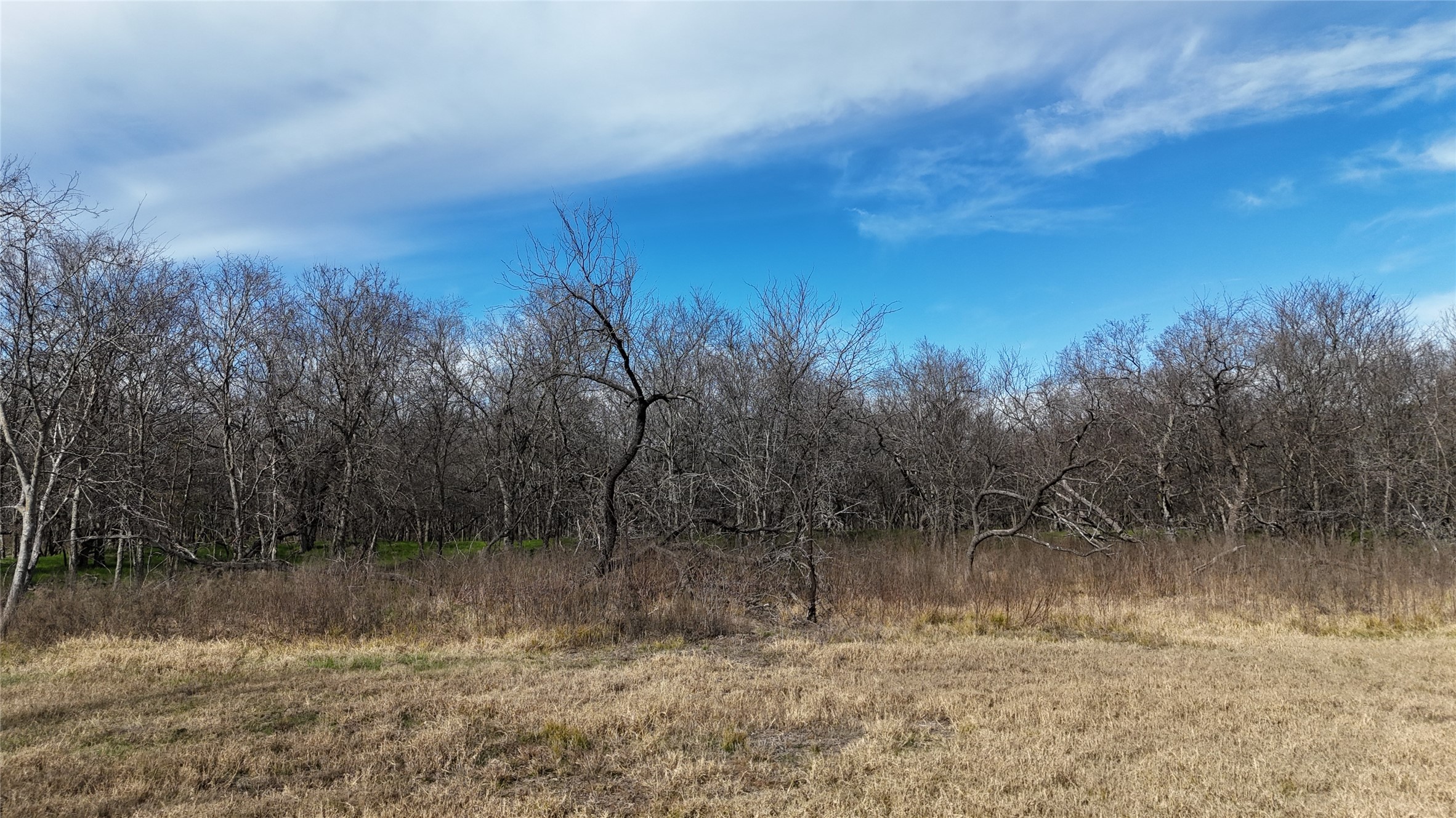 L21 Camp Fleming Court