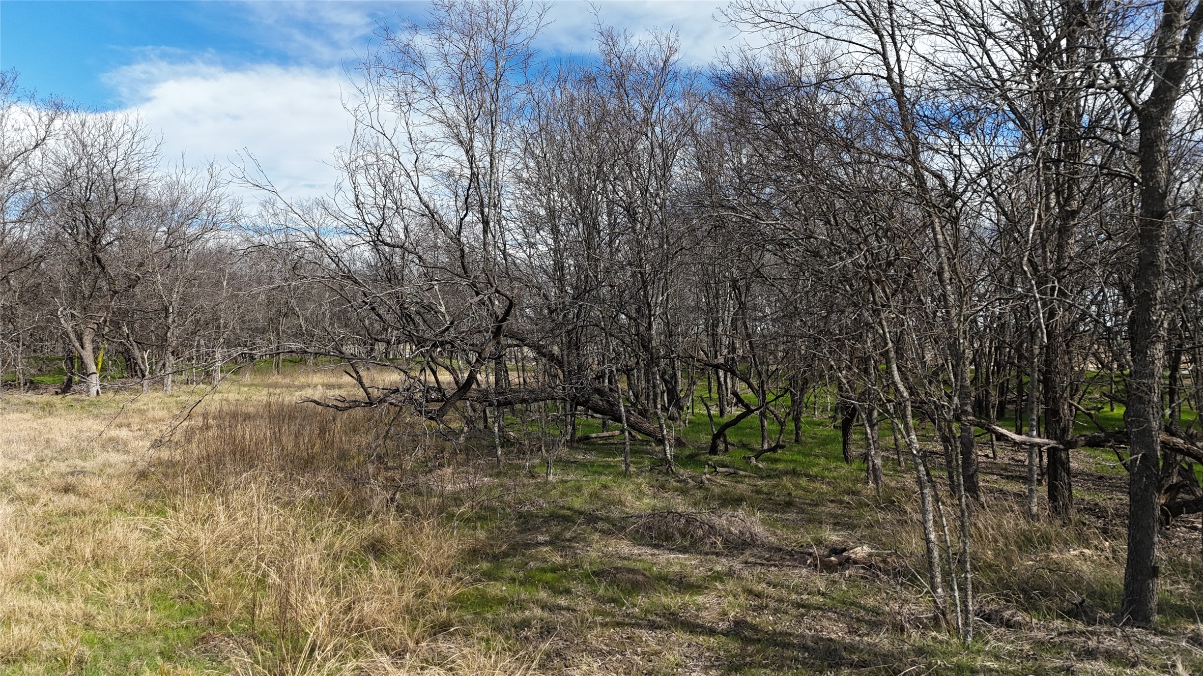 L21 Camp Fleming Court