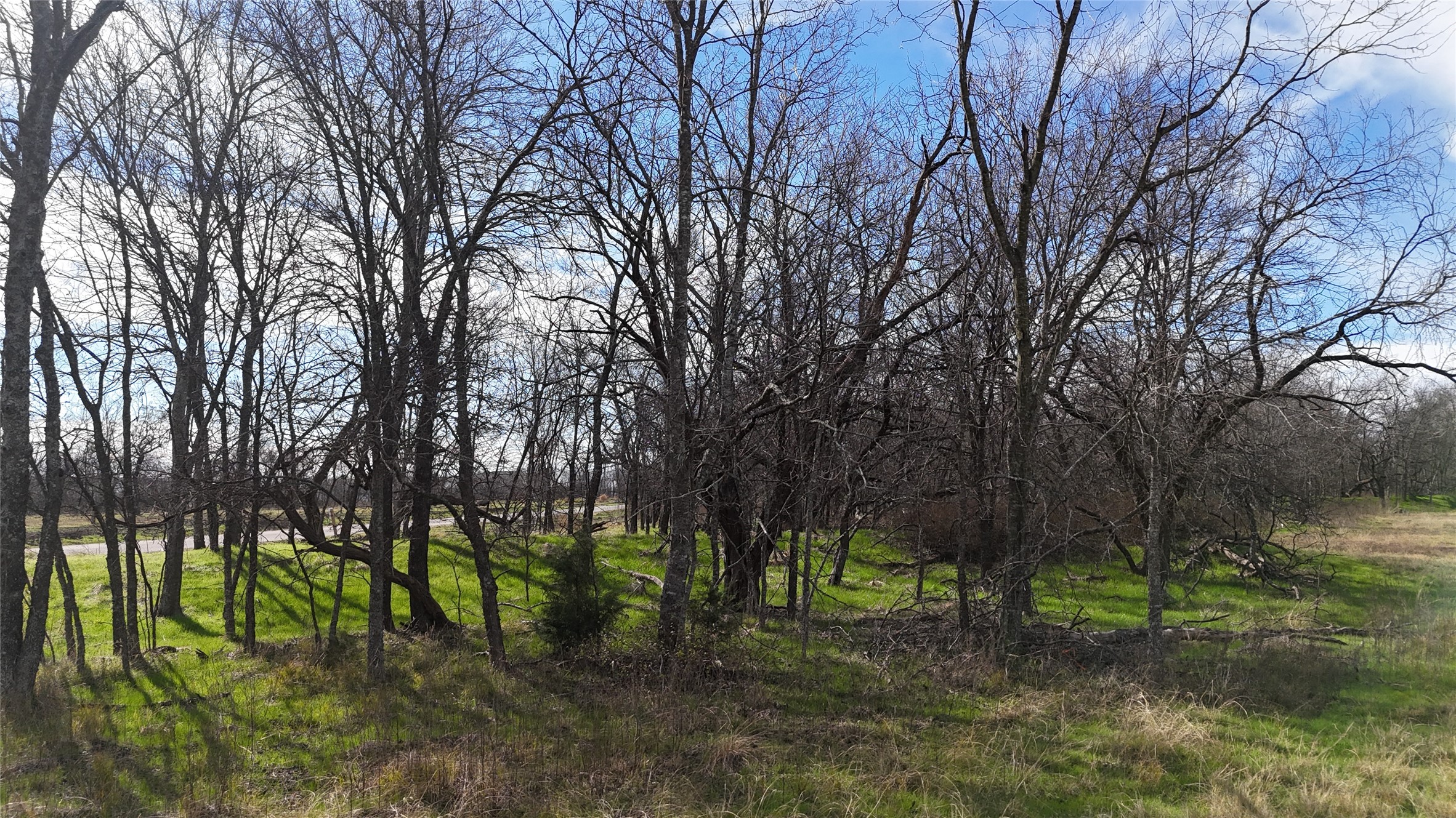 L21 Camp Fleming Court