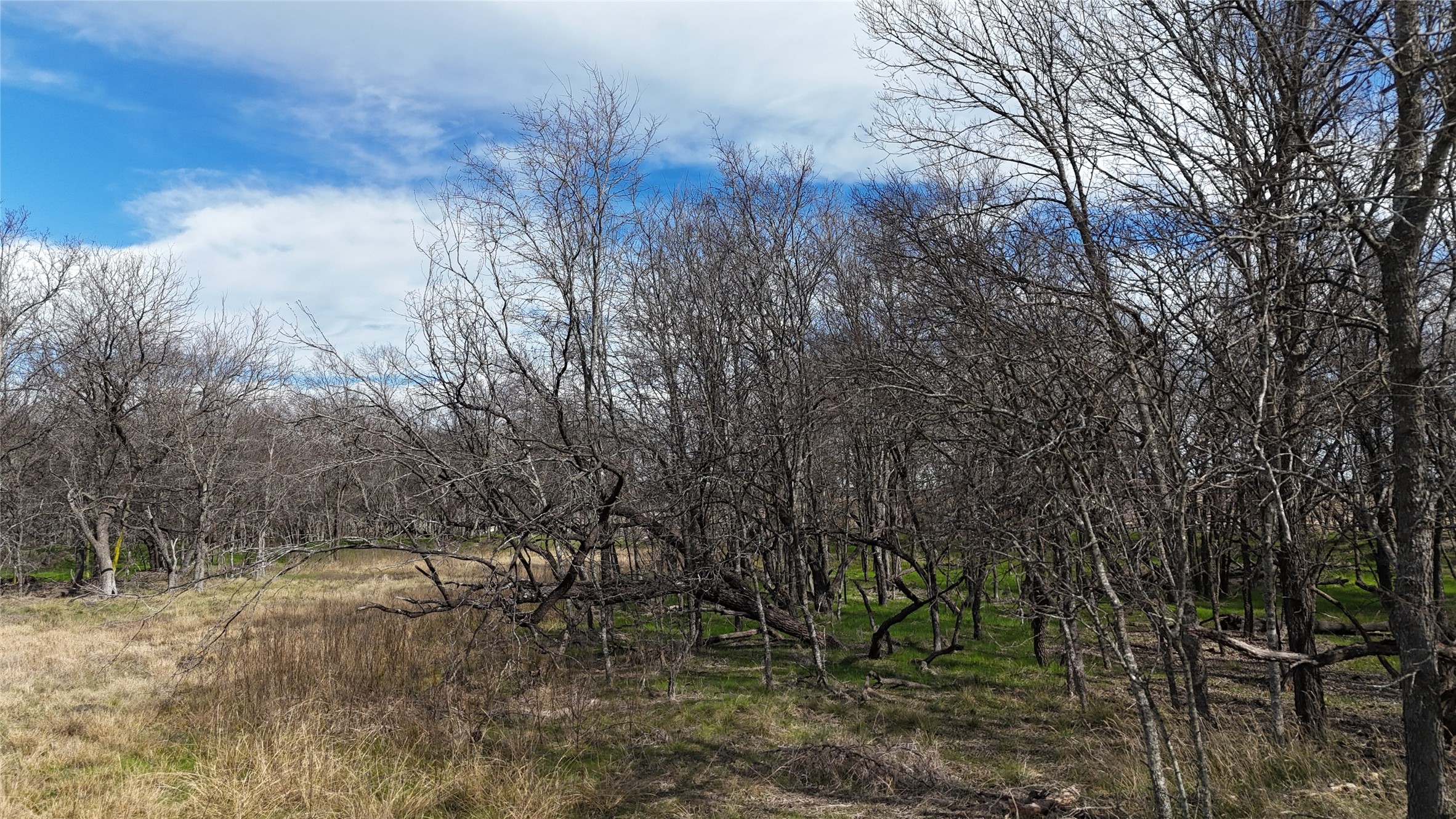 L21 Camp Fleming Court