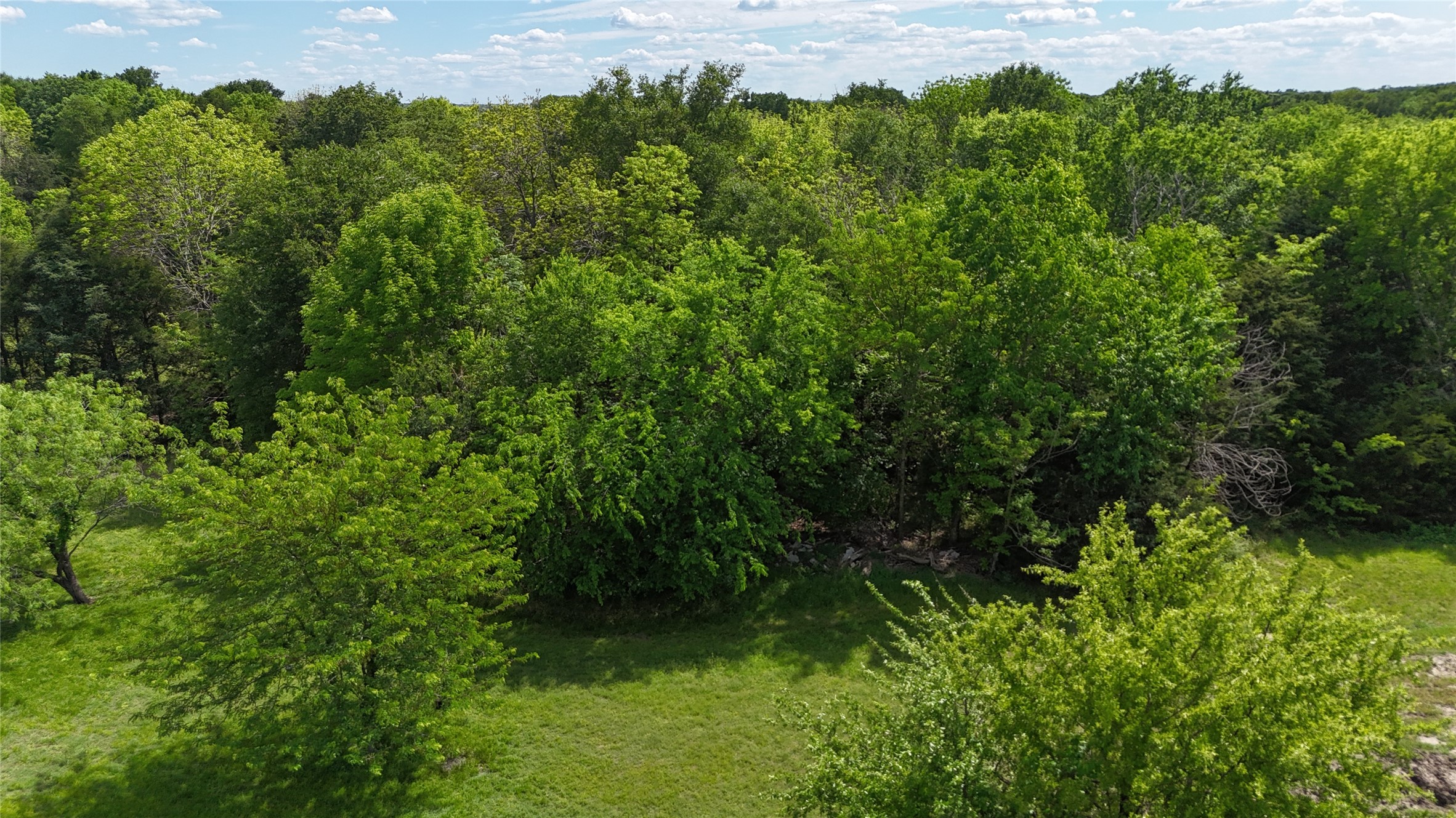 Lot 194 Cobalt Cove