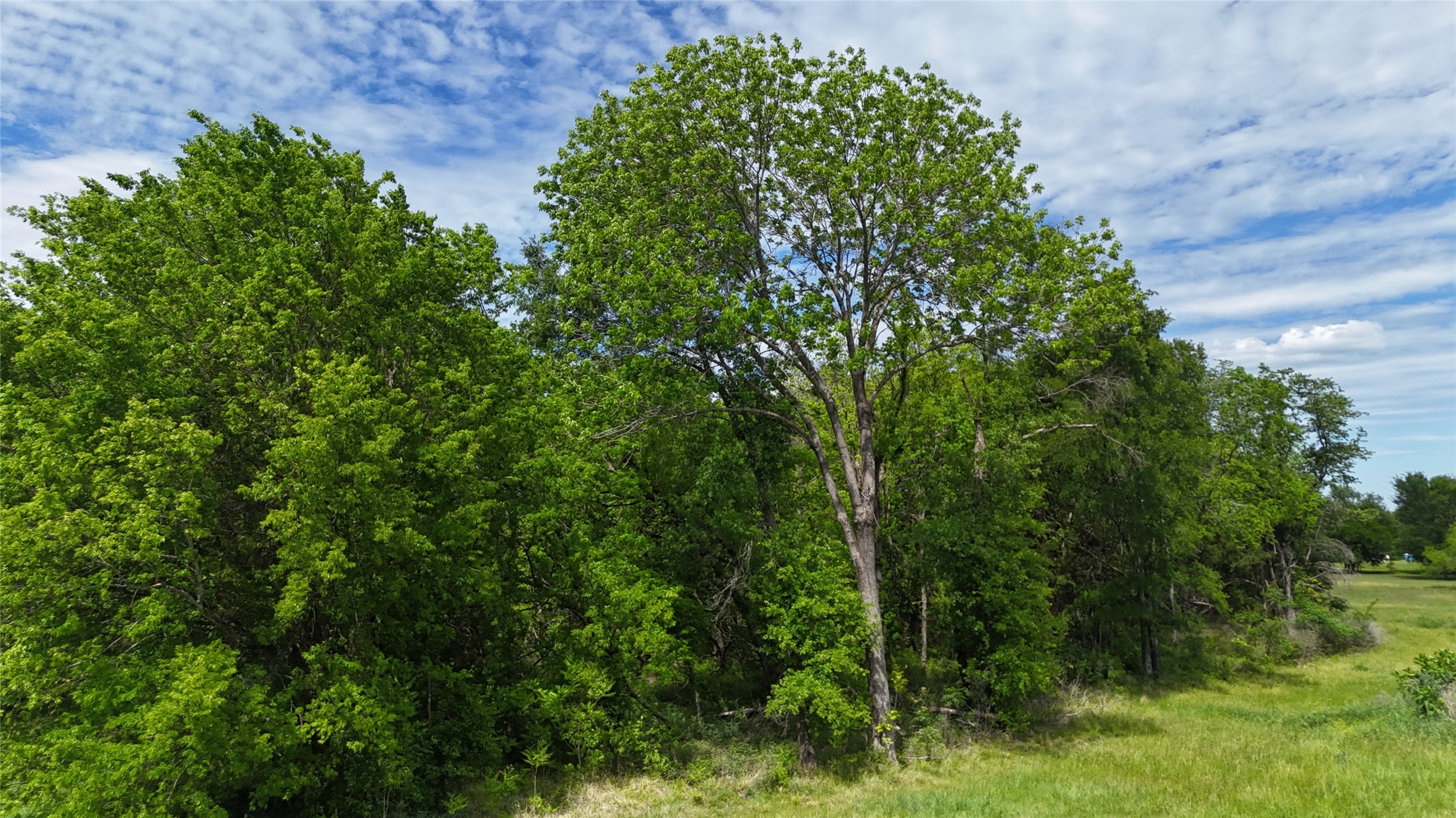 Lot 194 Cobalt Cove
