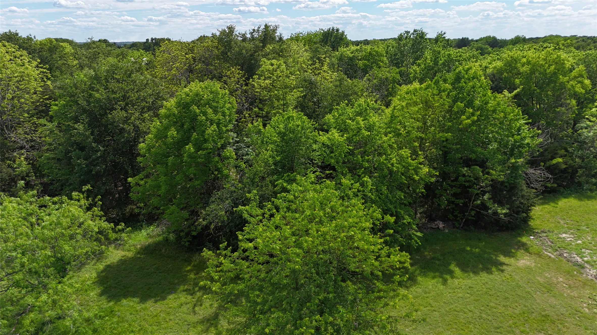 Lot 194 Cobalt Cove