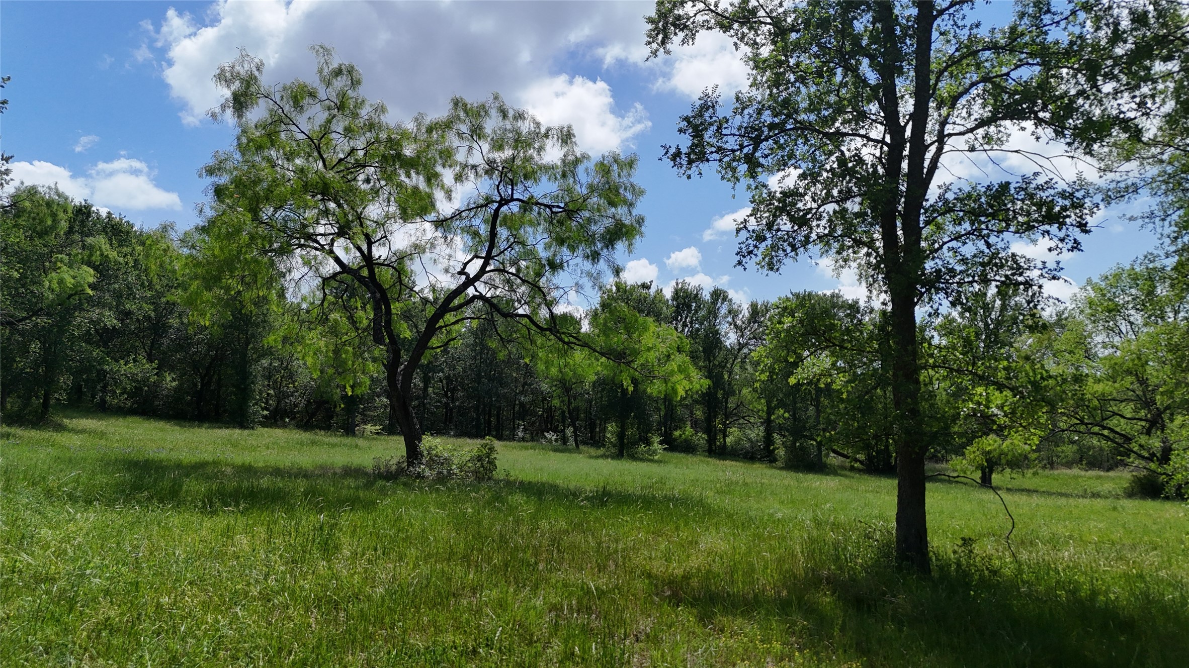 Lot 16 Opal Lane