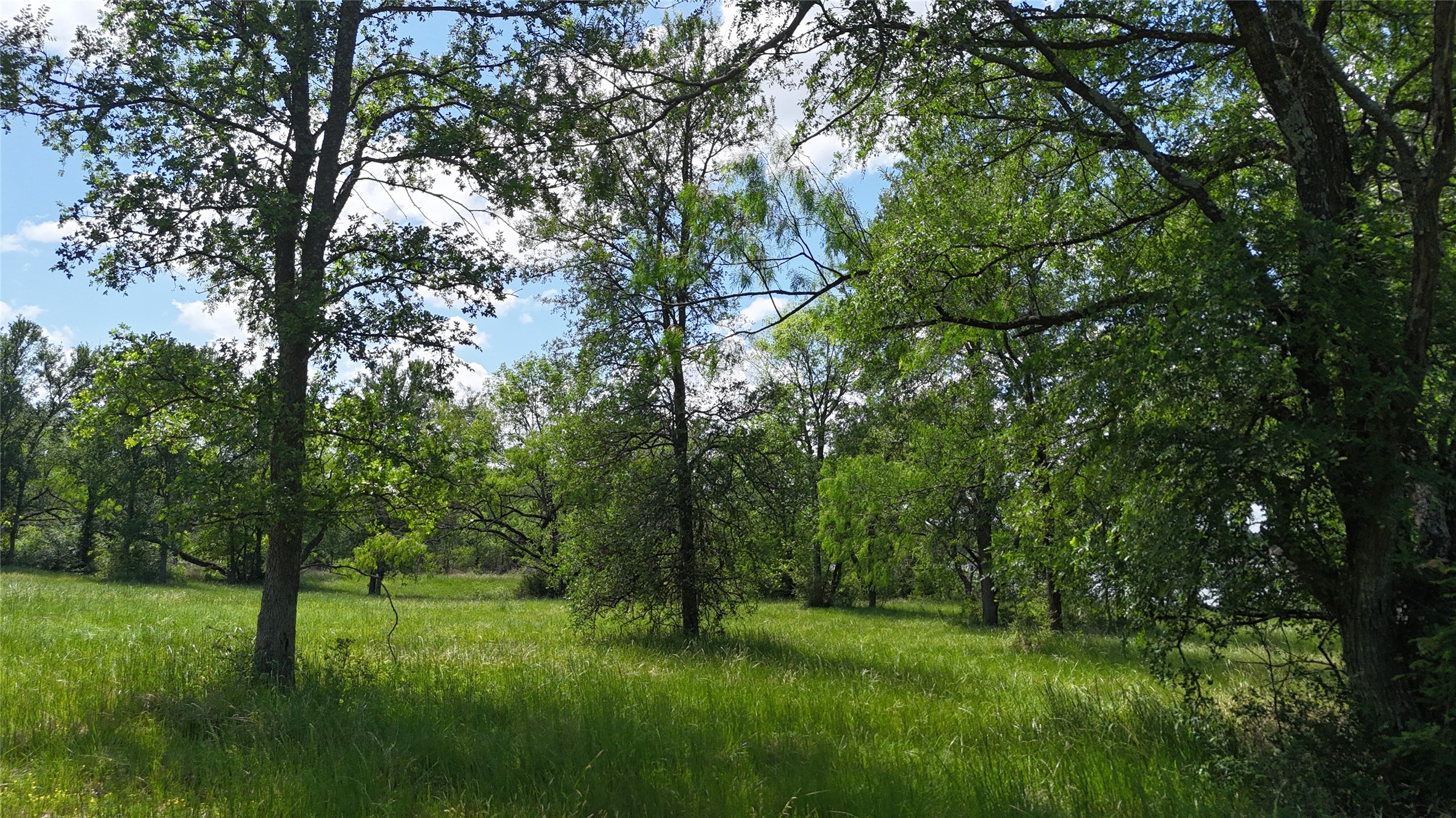 Lot 16 Opal Lane
