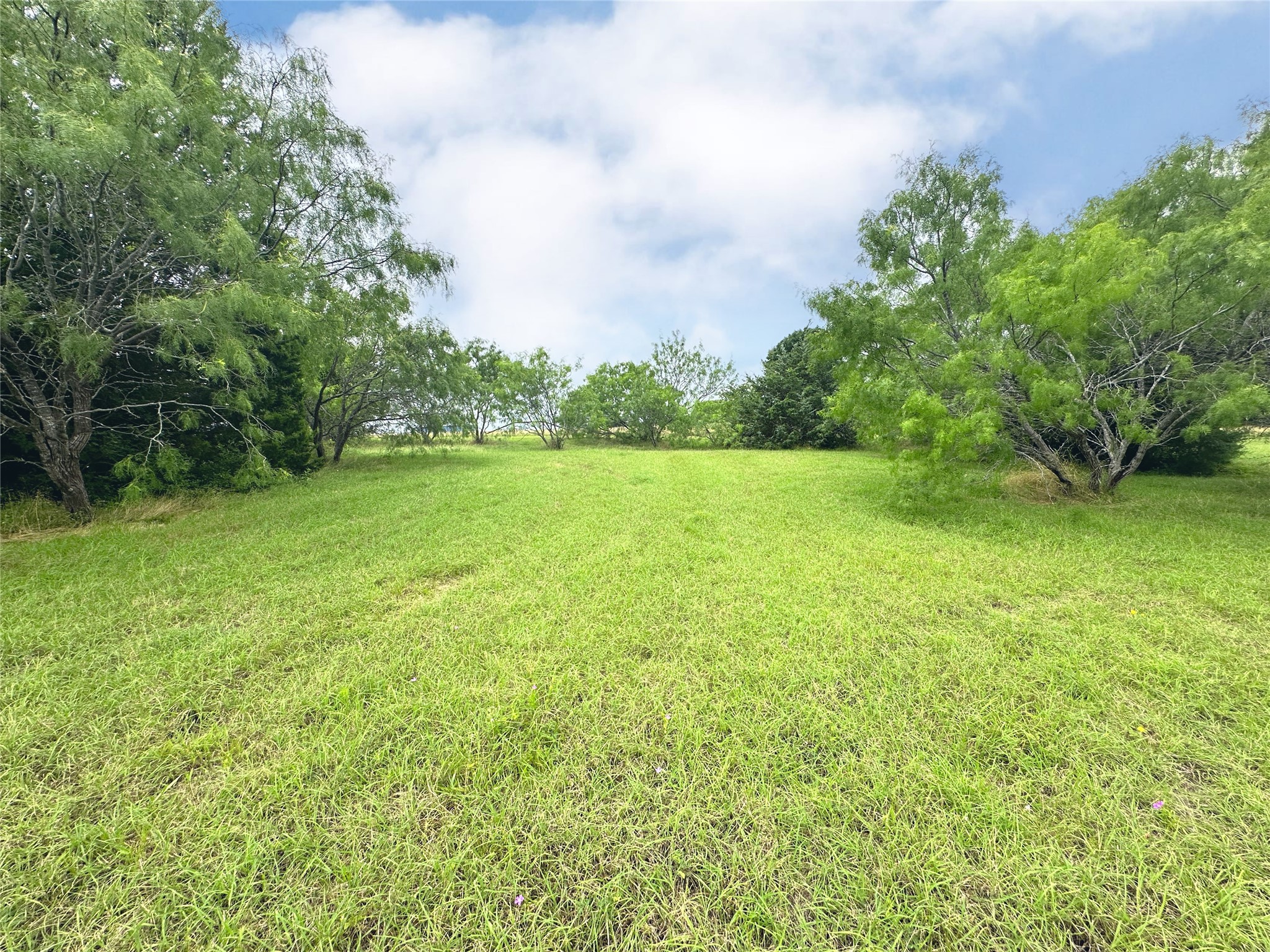 Lot 97 Fiddler Lane