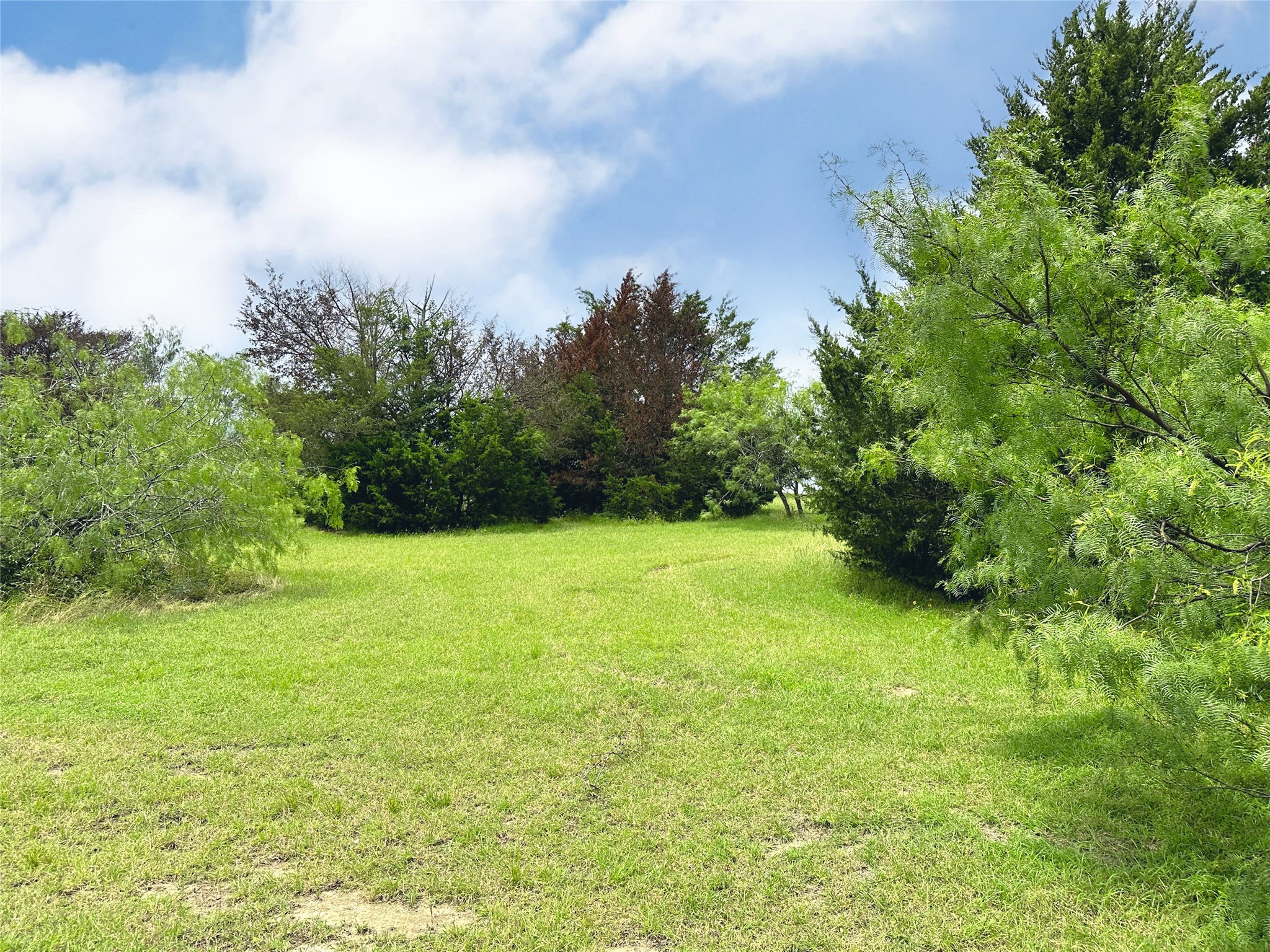 Lot 97 Fiddler Lane