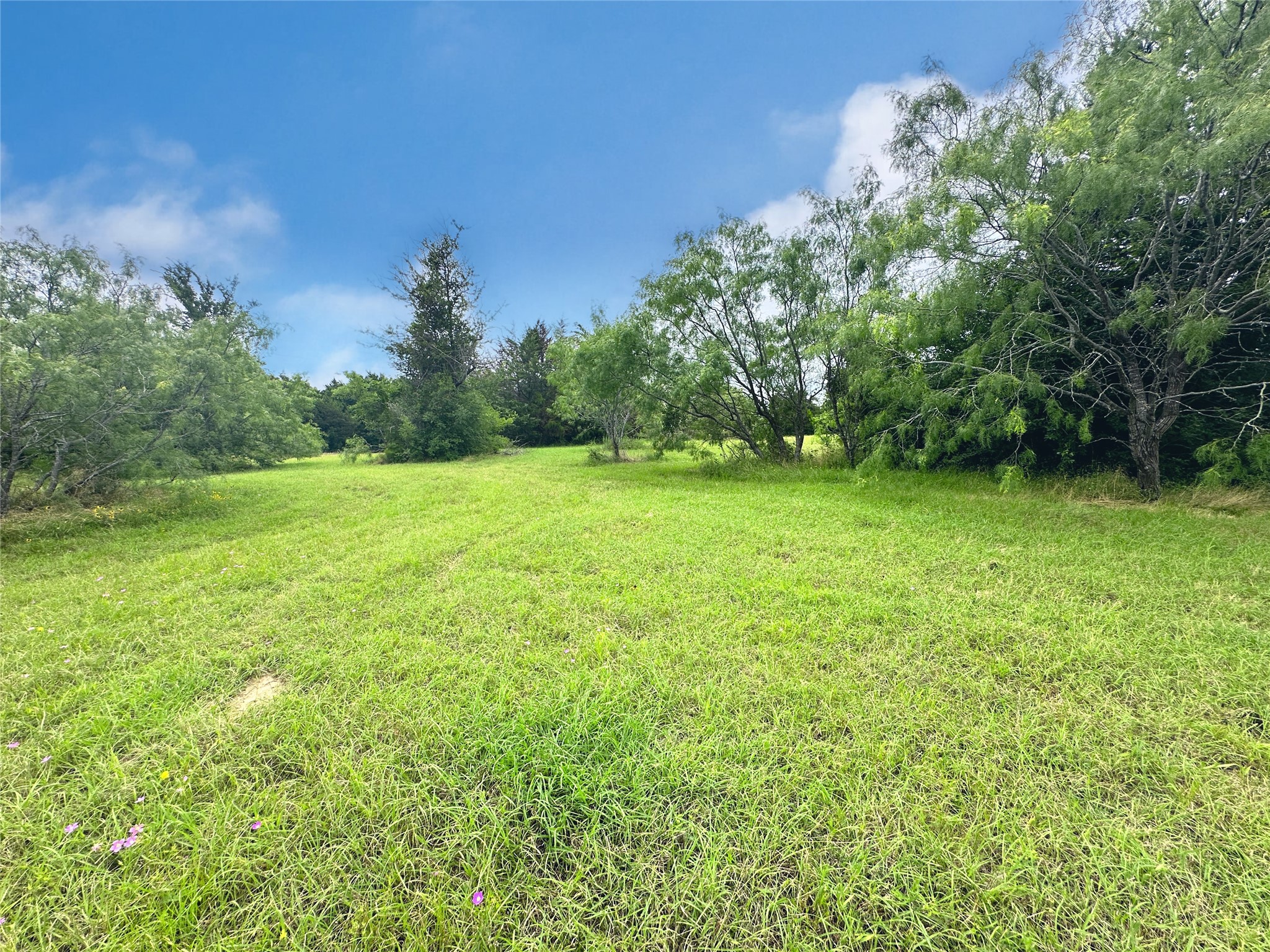 Lot 97 Fiddler Lane