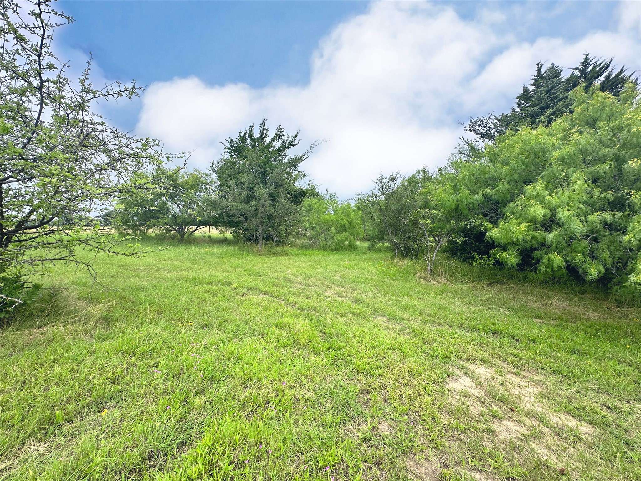 Lot 97 Fiddler Lane