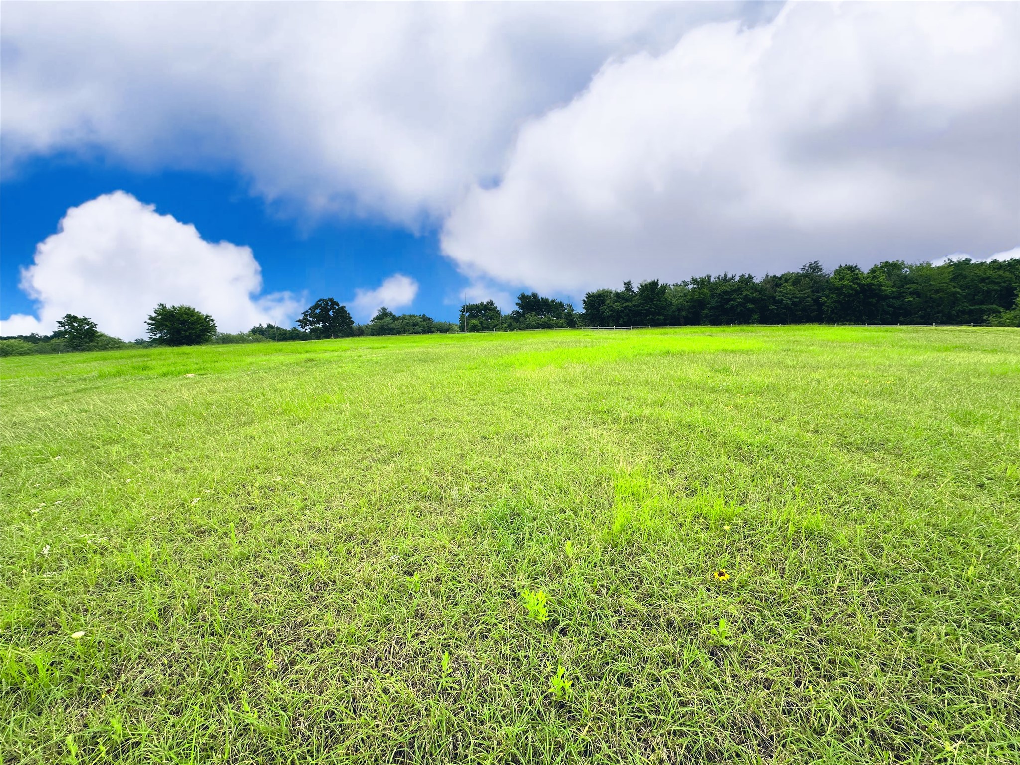 Lot 134 Lake Vista Drive