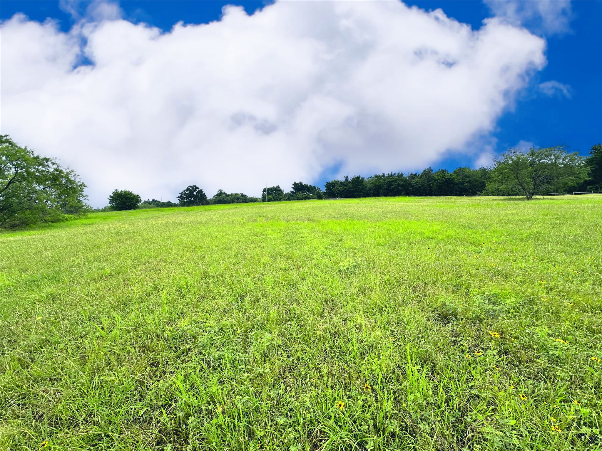 Lot 134 Lake Vista Drive