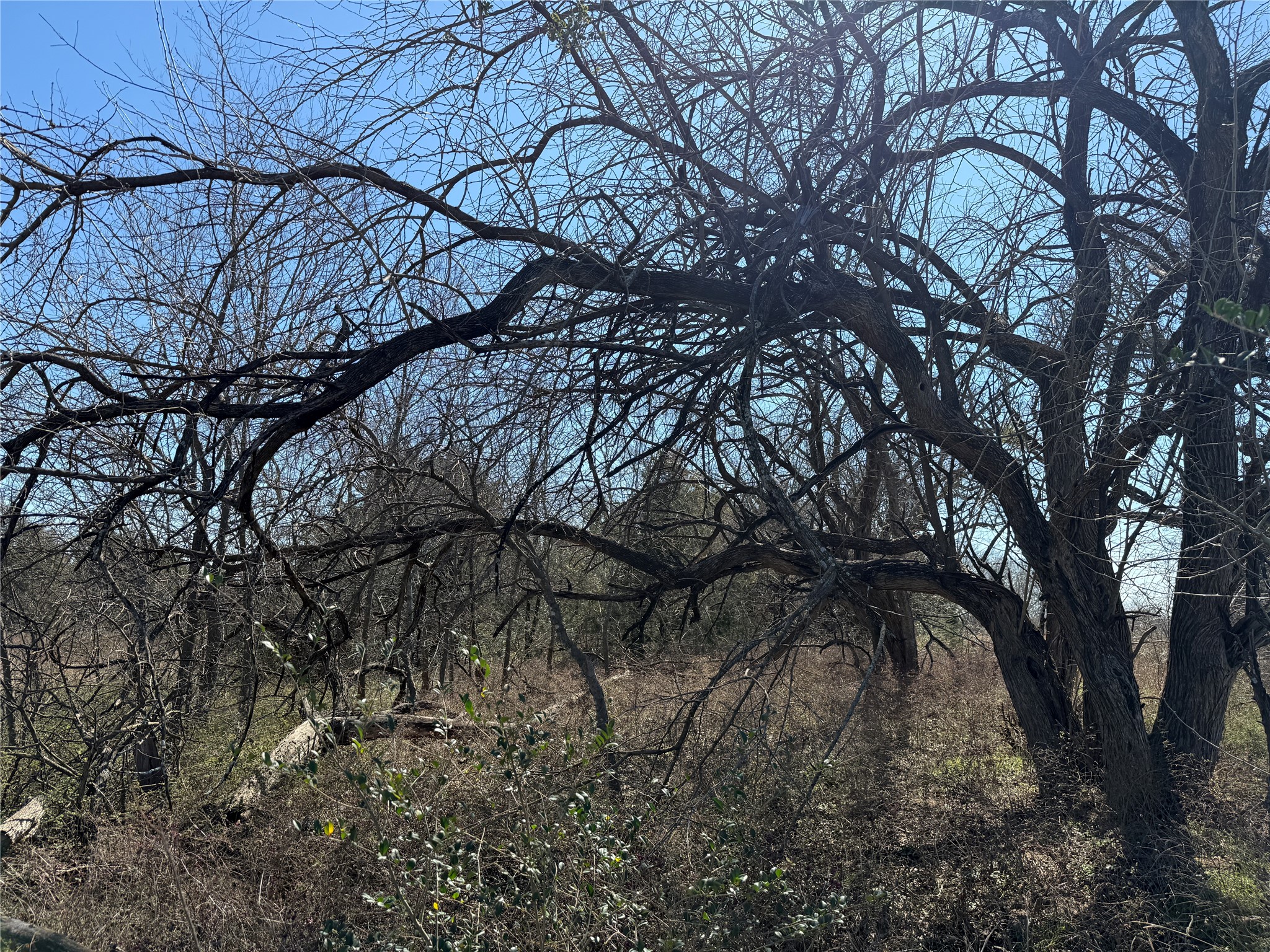 Lots 162A, 162B, 163A SW CR 4011