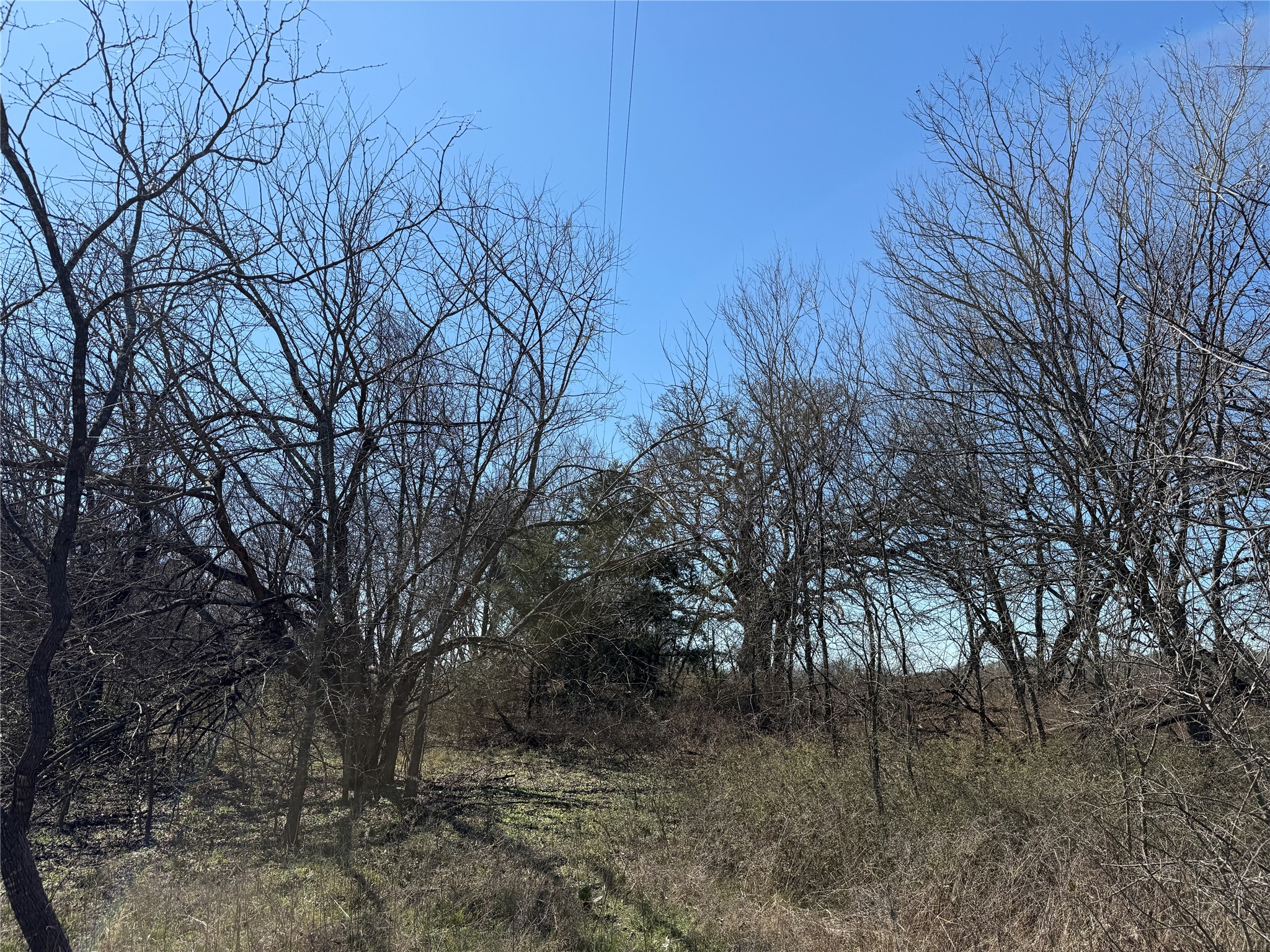 Lots 162A, 162B, 163A SW CR 4011