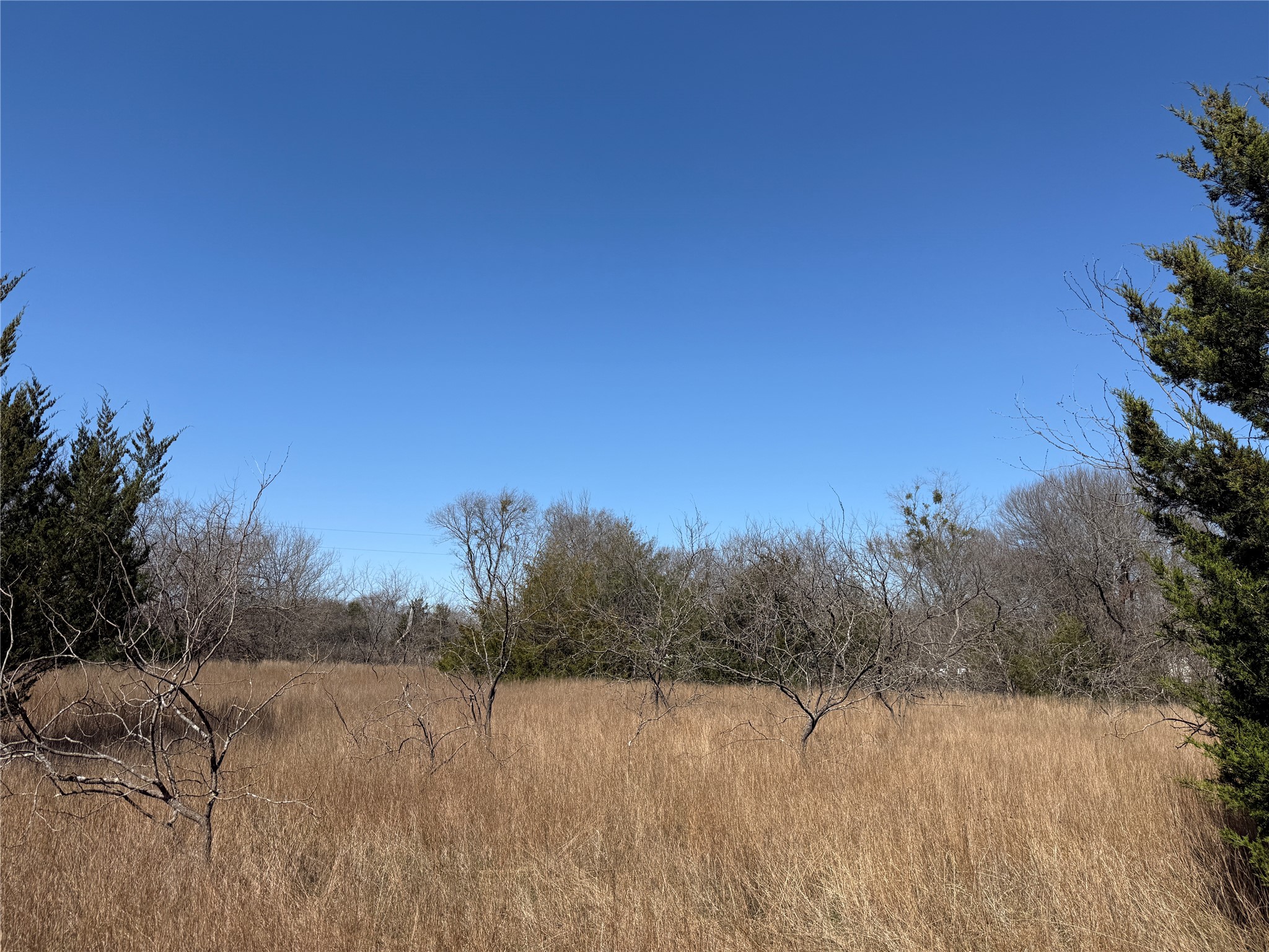 Lots 162A, 162B, 163A SW CR 4011