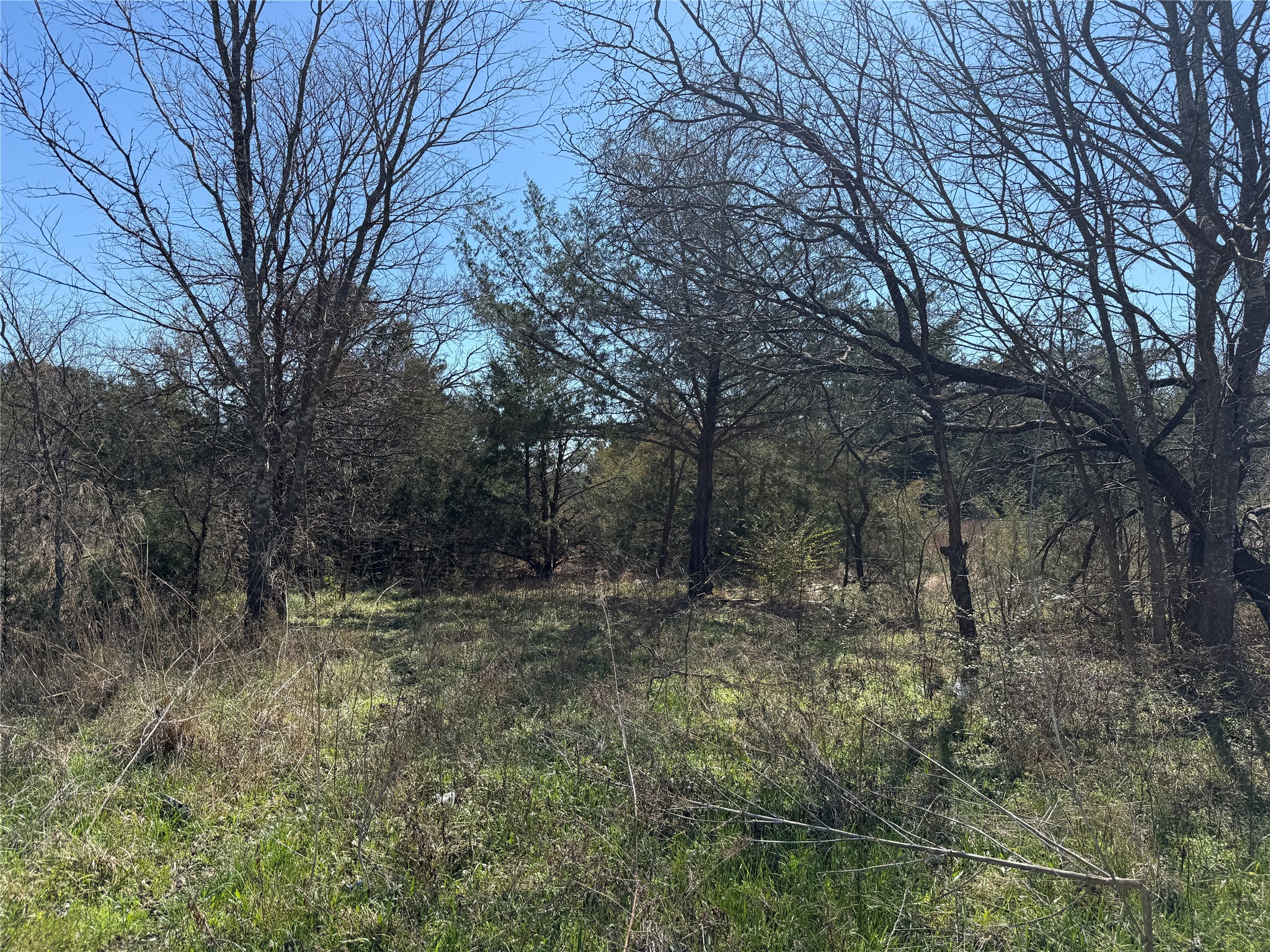 Lots 162A, 162B, 163A SW CR 4011