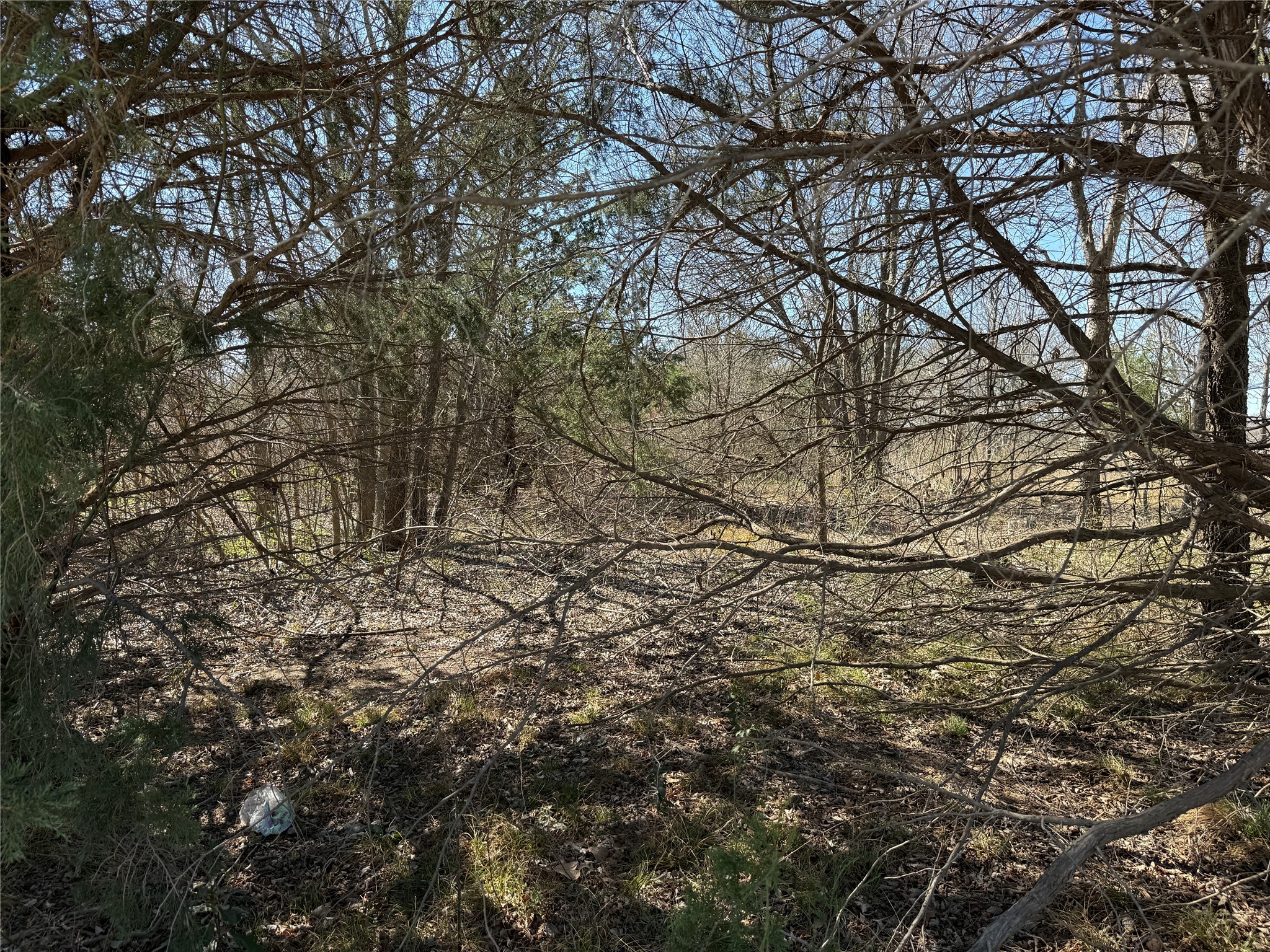 Lots 162A, 162B, 163A SW CR 4011