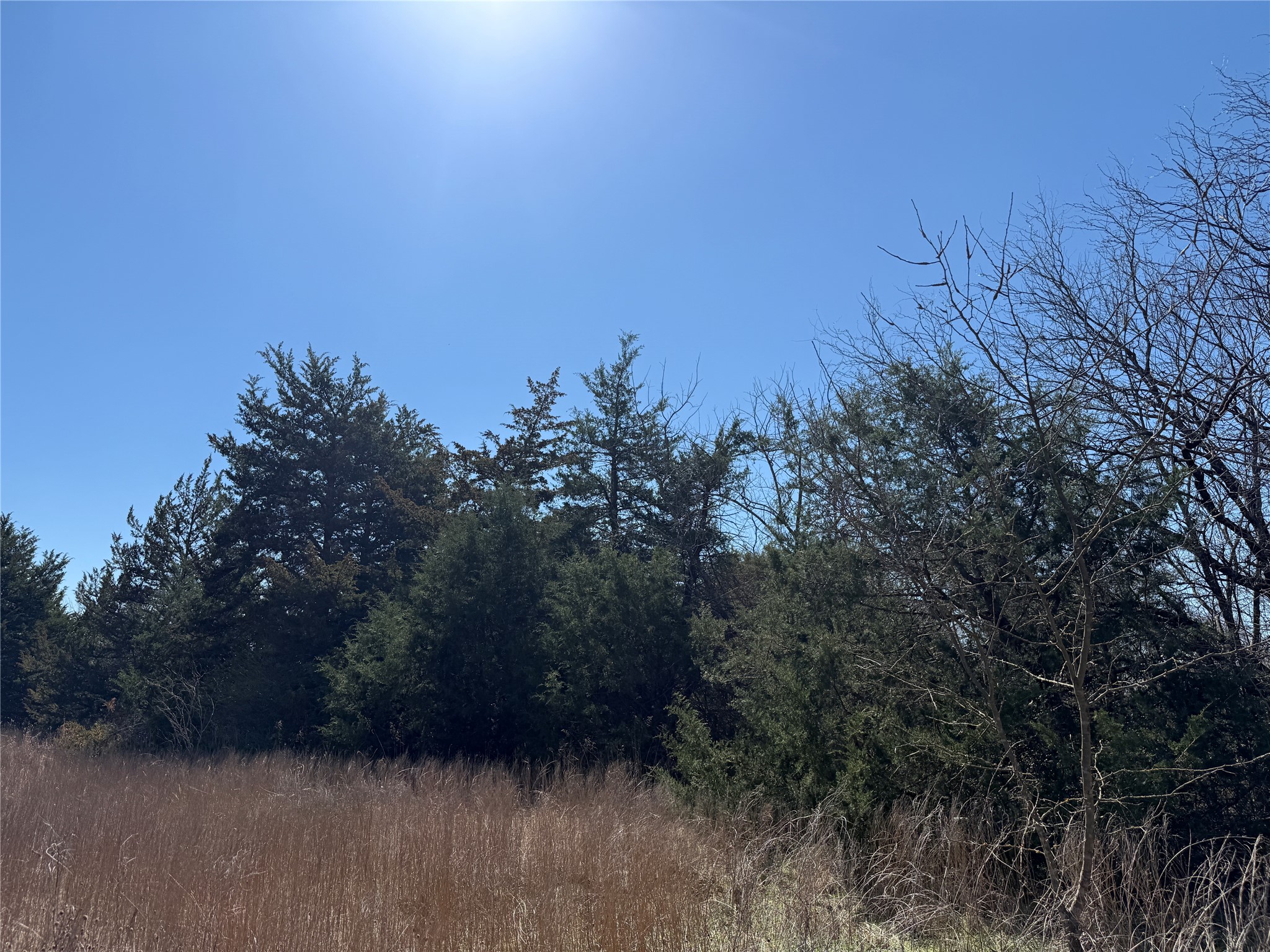 Lots 162A, 162B, 163A SW CR 4011