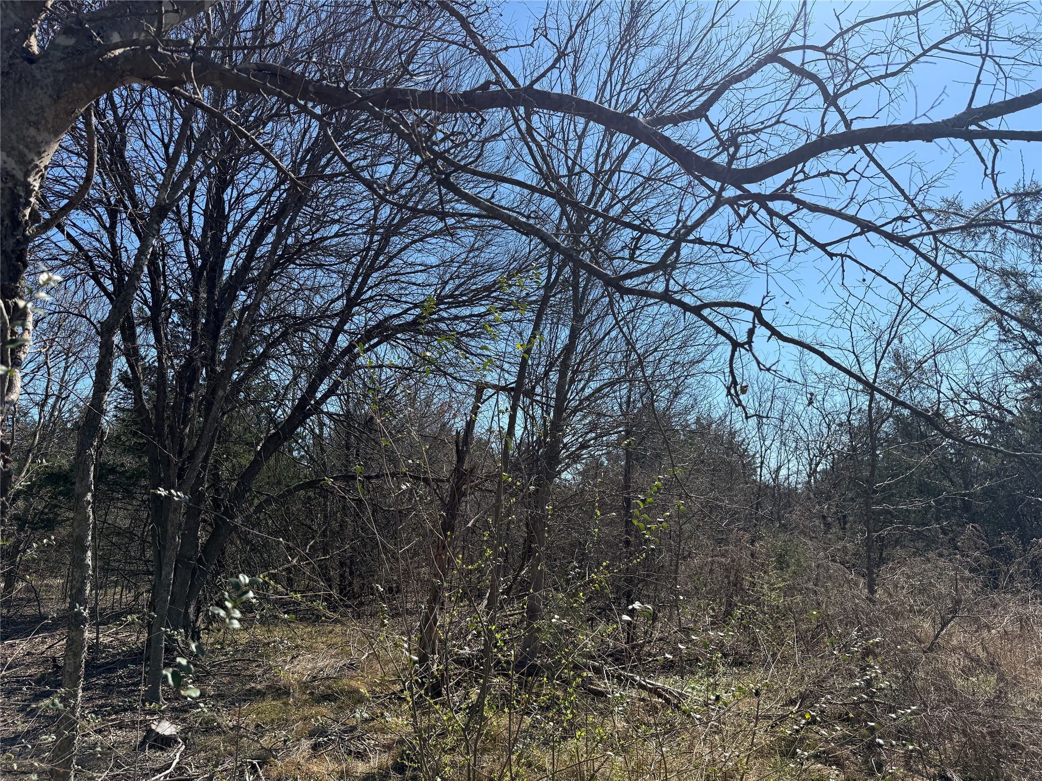 Lots 162A, 162B, 163A SW CR 4011