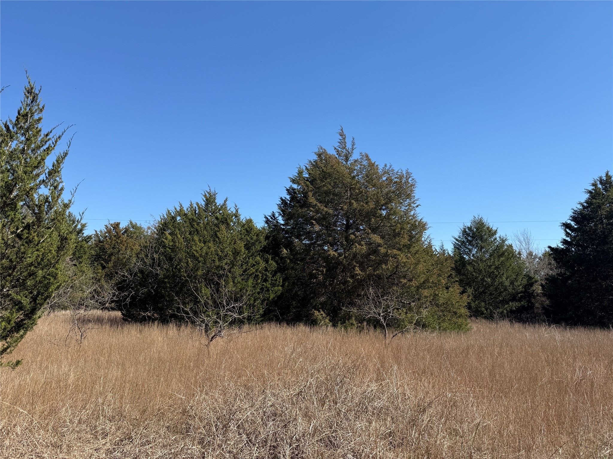 Lots 162A, 162B, 163A SW CR 4011