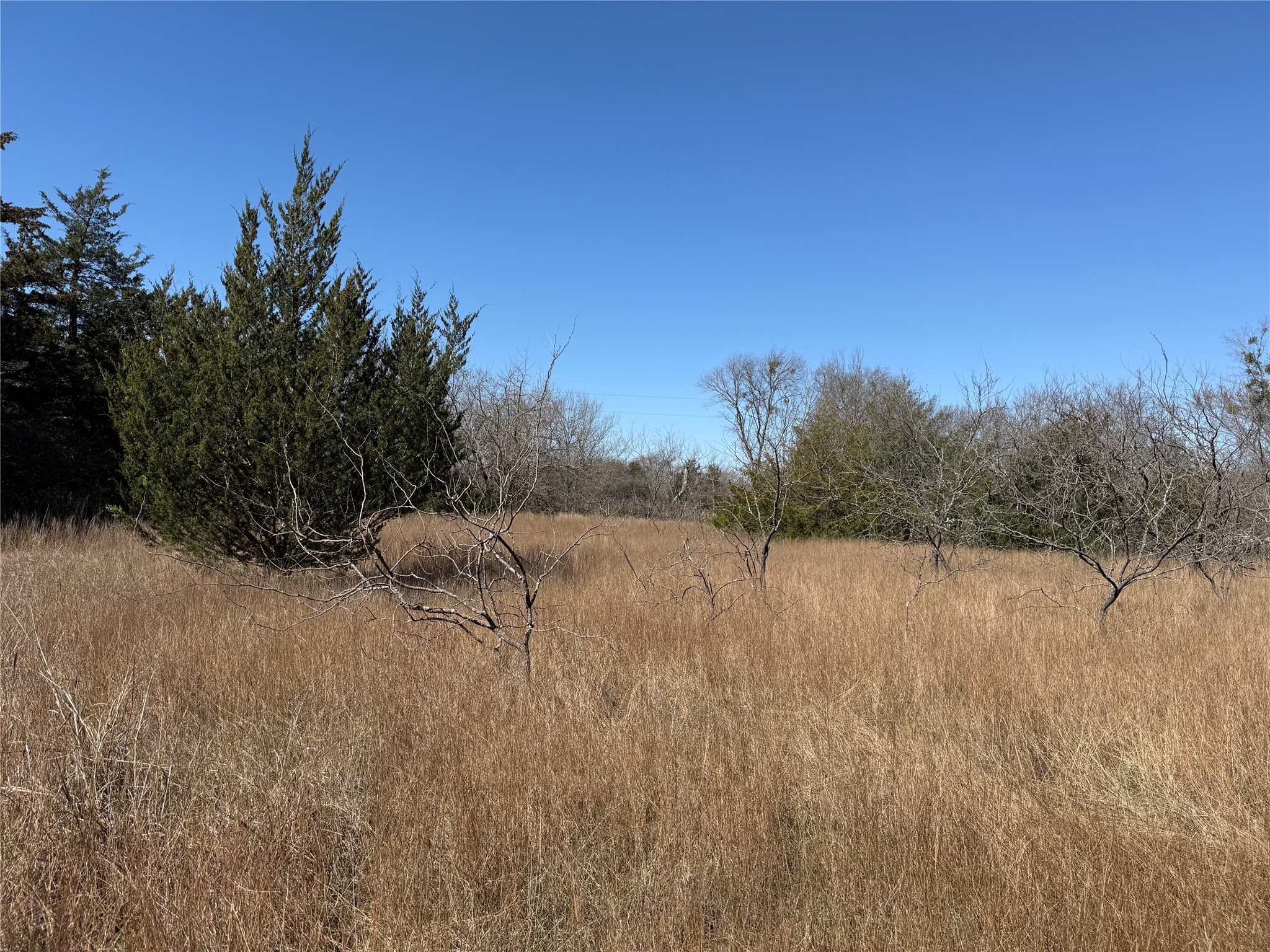 Lots 162A, 162B, 163A SW CR 4011