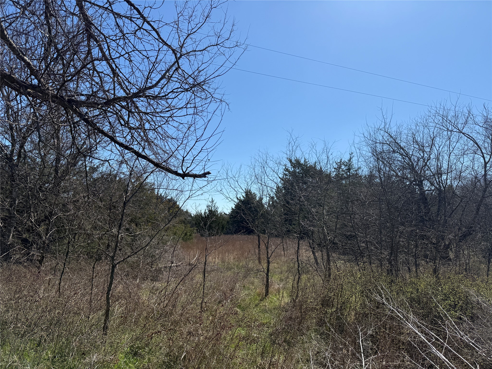 Lots 162A, 162B, 163A SW CR 4011