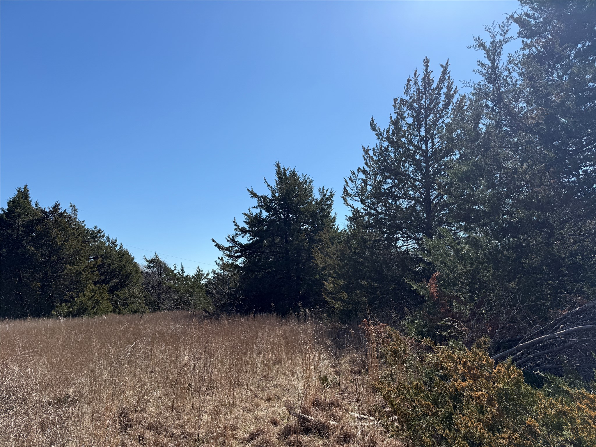 Lots 162A, 162B, 163A SW CR 4011