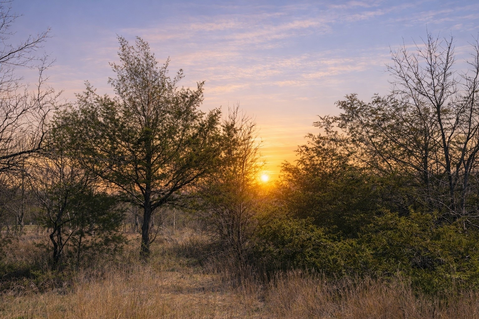 Lots 162A, 162B, 163A SW CR 4011