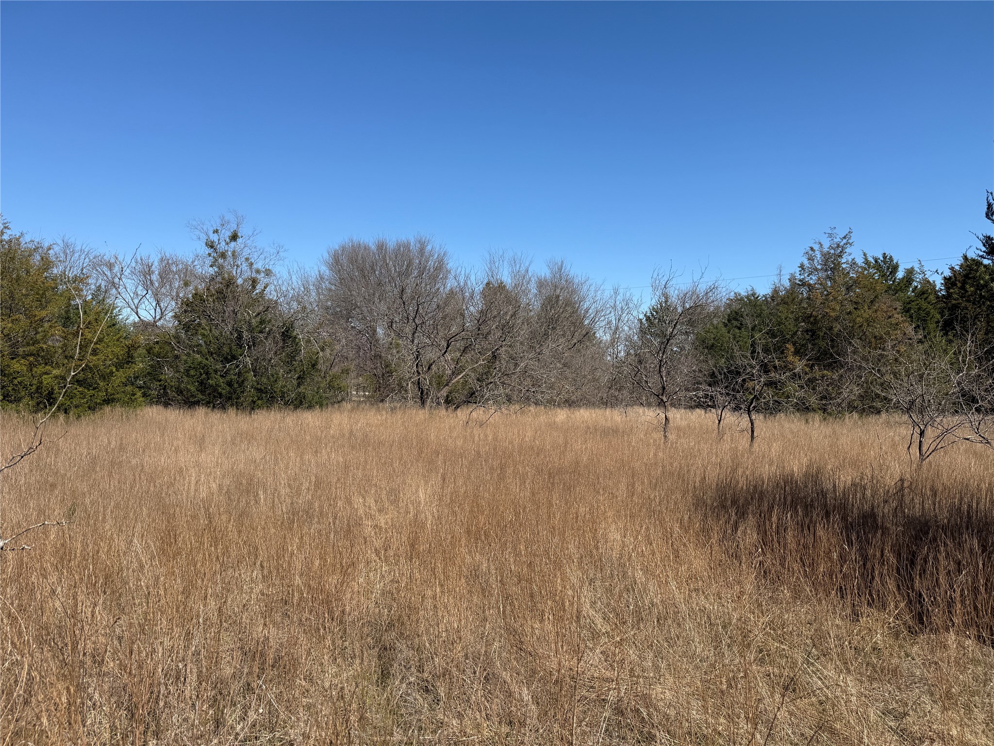 Lots 162A, 162B, 163A SW CR 4011