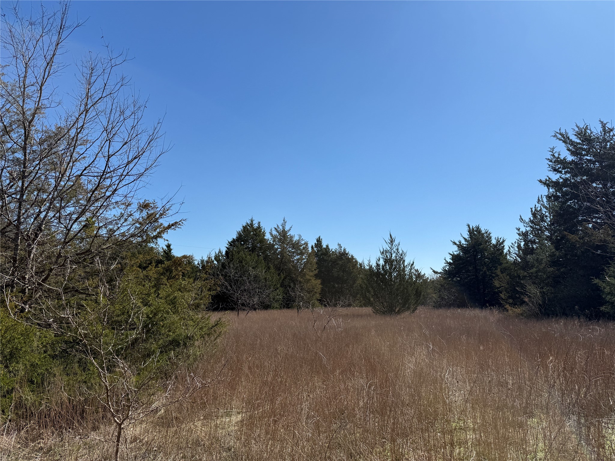 Lots 162A, 162B, 163A SW CR 4011